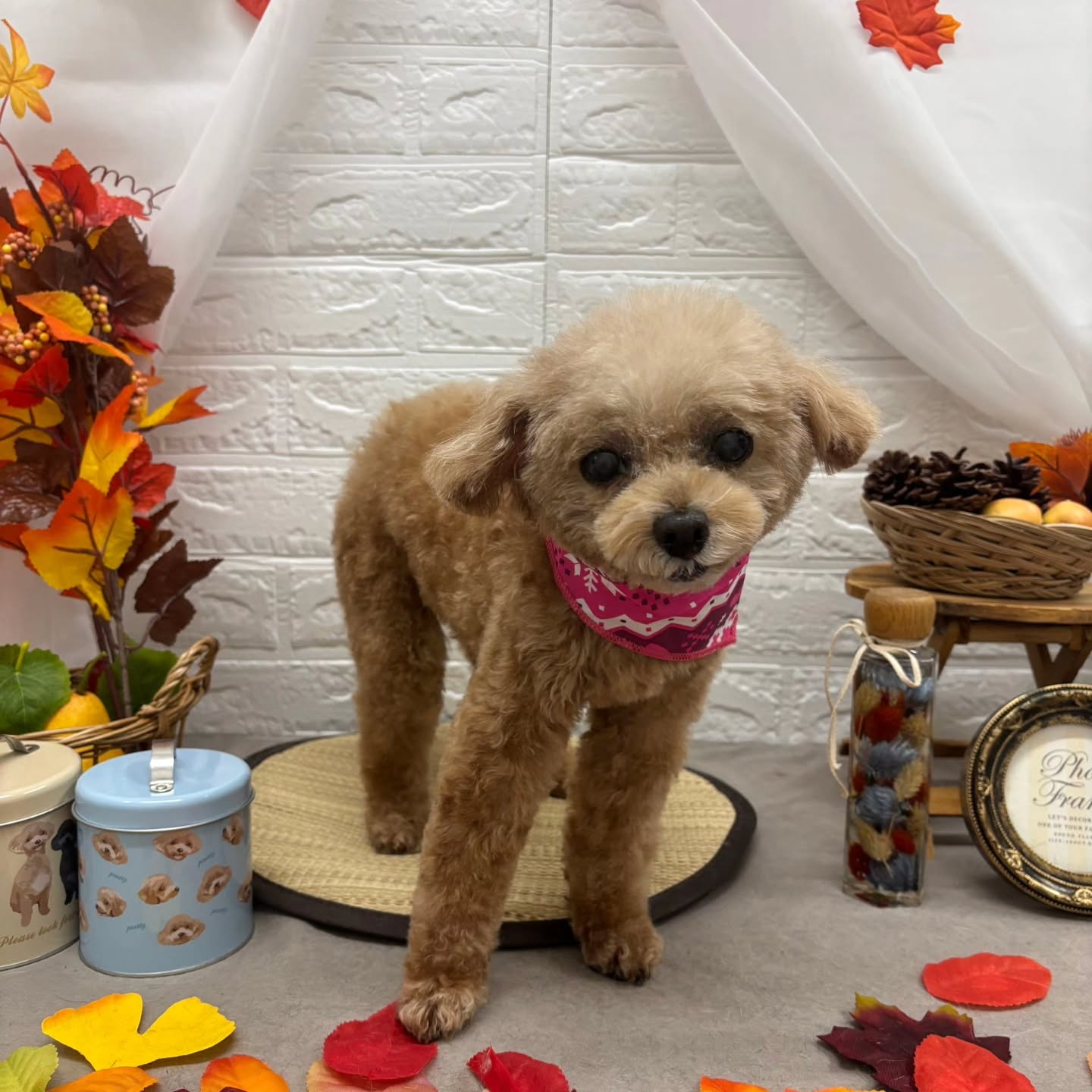 ๐๐๐๐๐๐๐๐๐๐