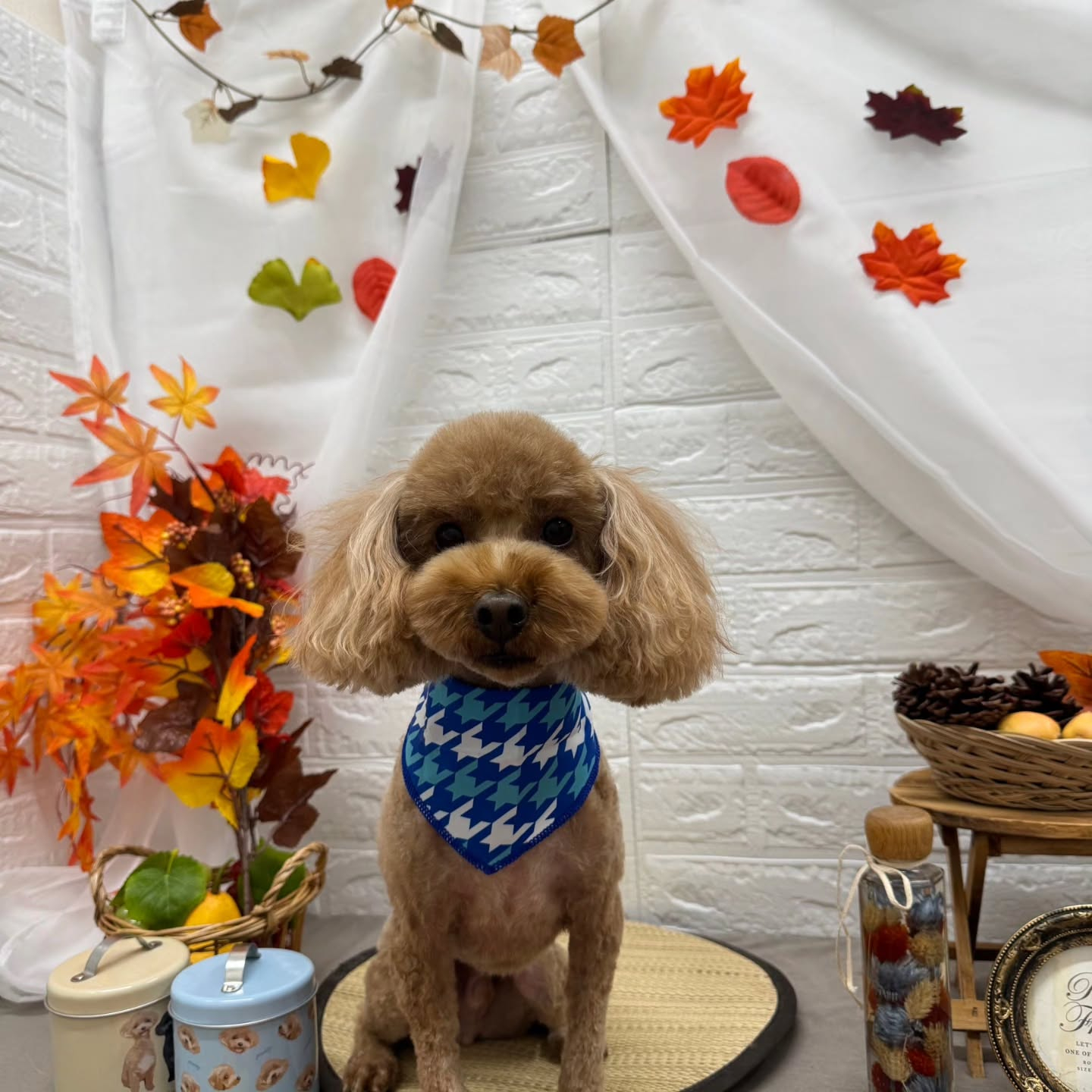 ๐๐๐๐๐๐๐๐๐๐