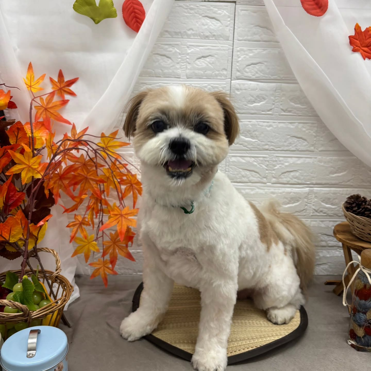 ๐๐๐๐๐๐๐๐๐๐