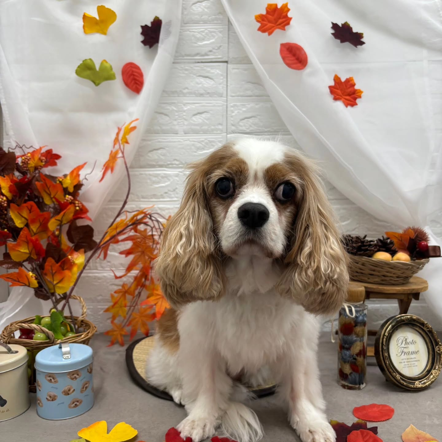 ๐๐๐๐๐๐๐๐๐๐