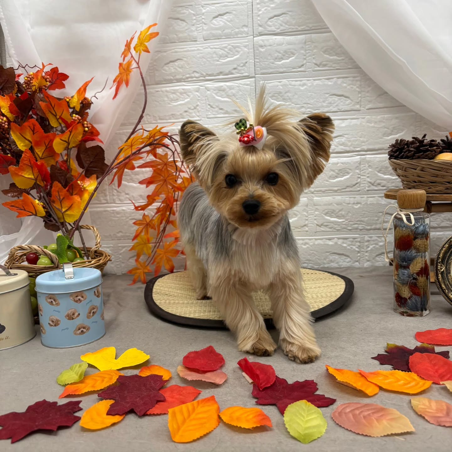 ๐๐๐๐๐๐๐๐๐๐