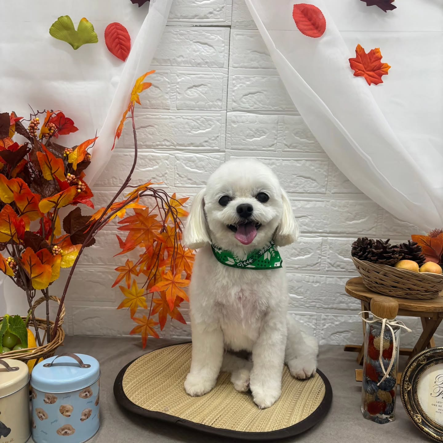 🍠🍠🍠🍠🍠🍠🍠🍠🍠🍠