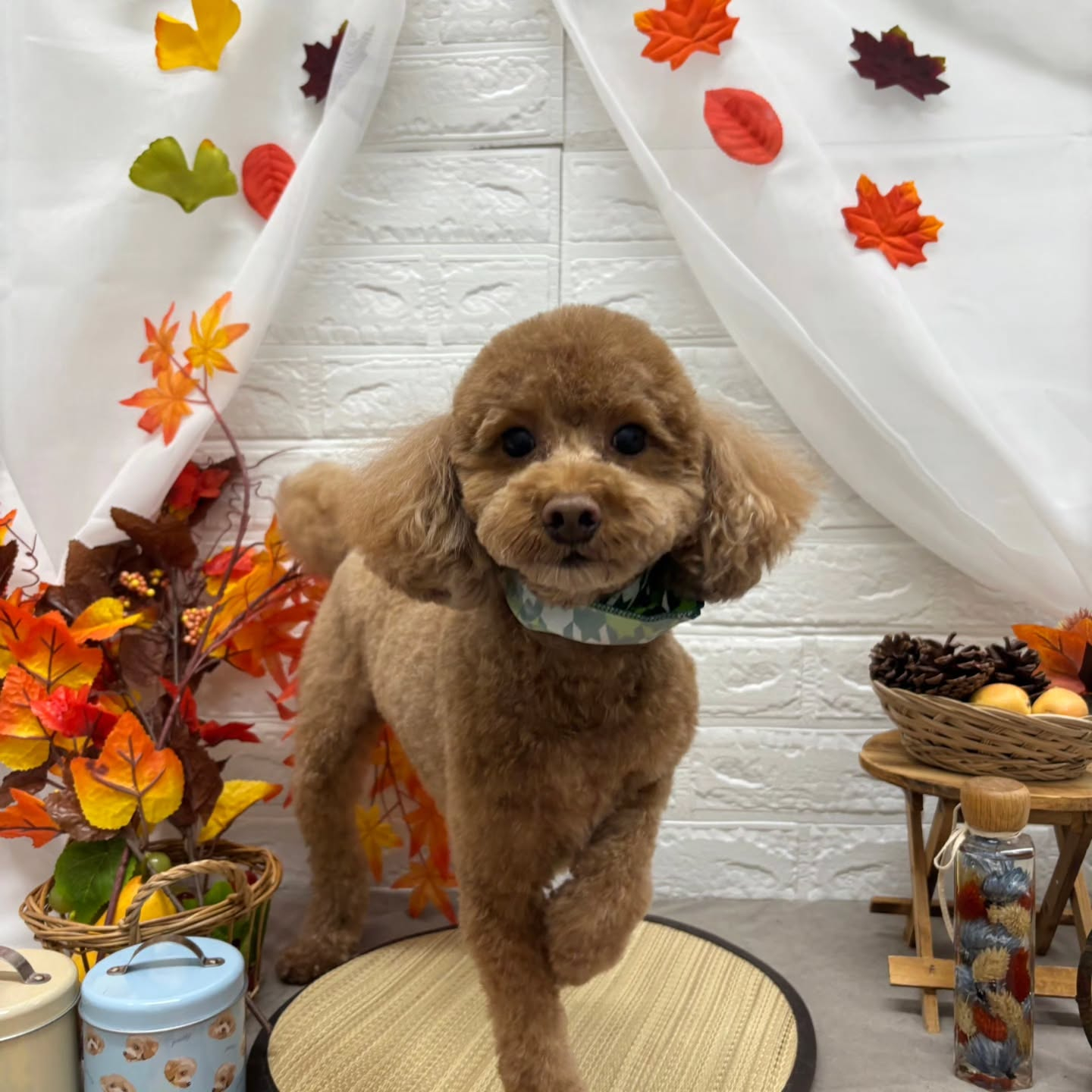 🍠🍠🍠🍠🍠🍠🍠🍠🍠🍠