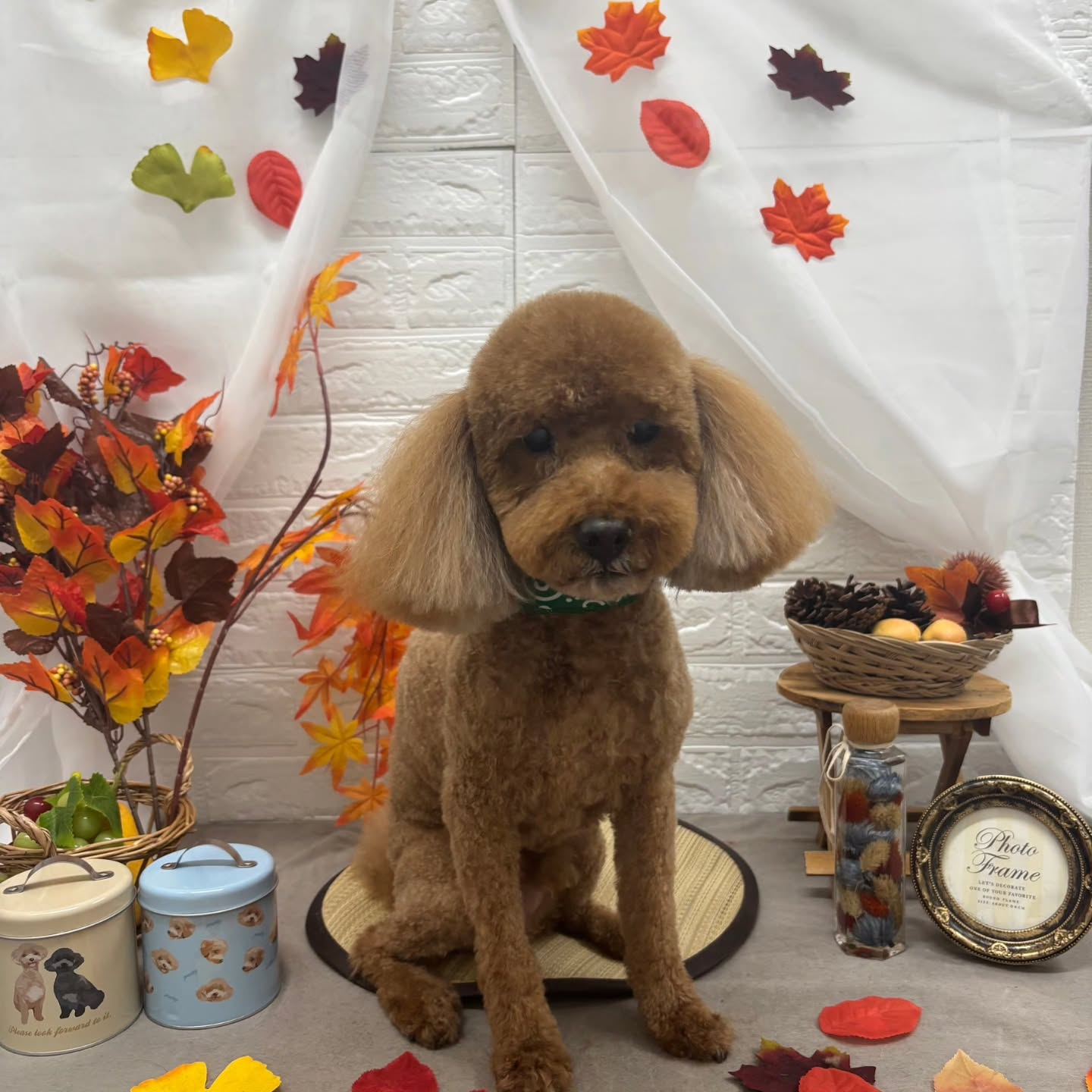 🍠🍠🍠🍠🍠🍠🍠🍠🍠🍠