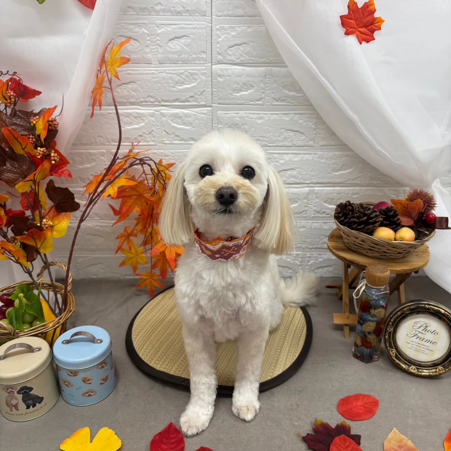 🍠🍠🍠🍠🍠🍠🍠🍠🍠🍠