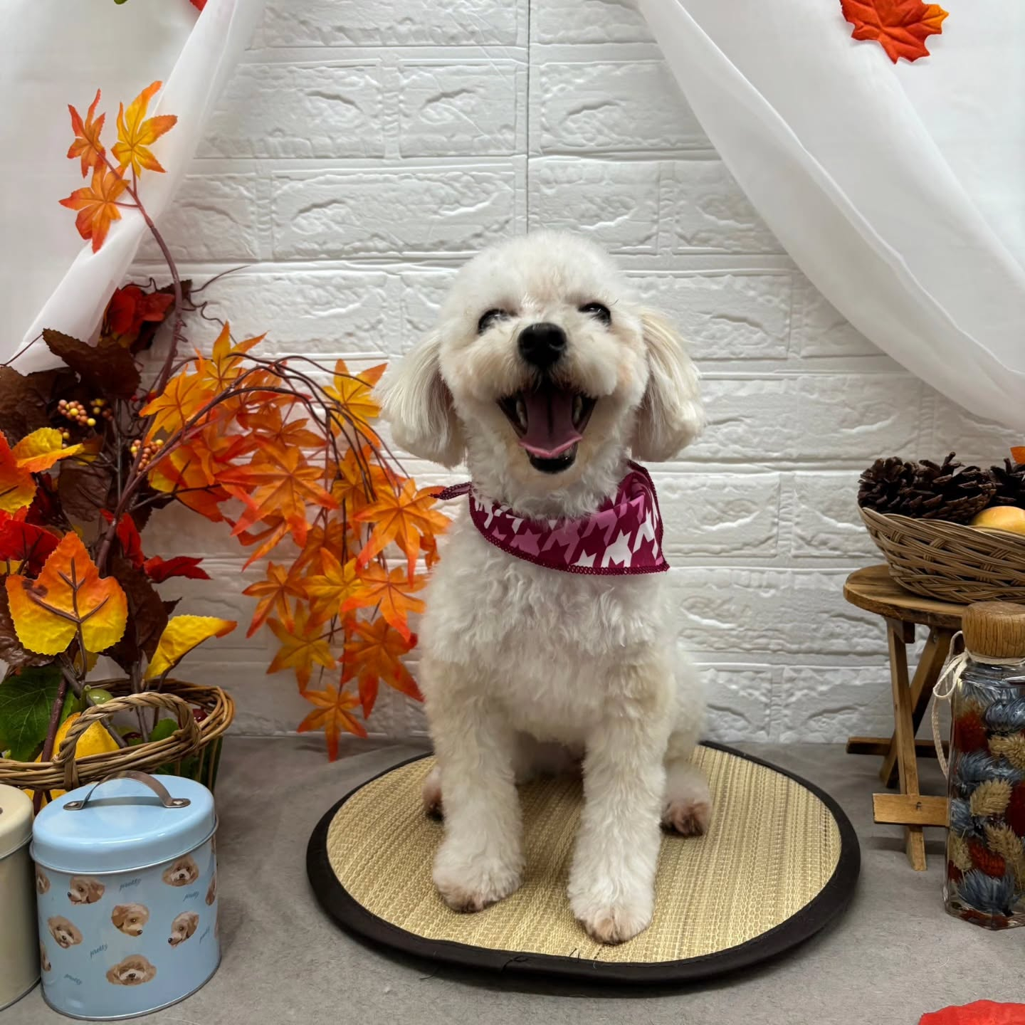 🍠🍠🍠🍠🍠🍠🍠🍠🍠🍠