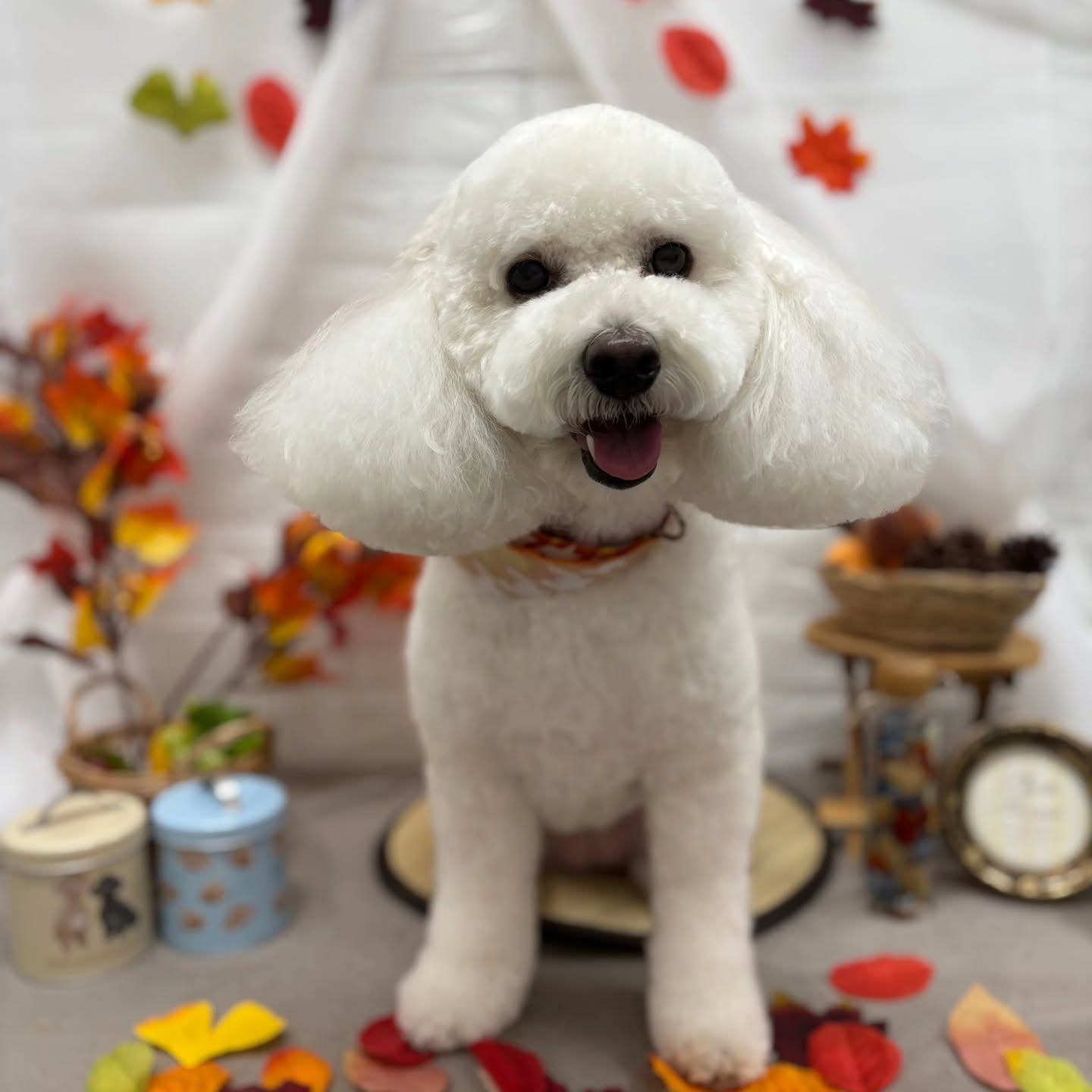 🍠🍠🍠🍠🍠🍠🍠🍠🍠🍠🍠🍠🍠