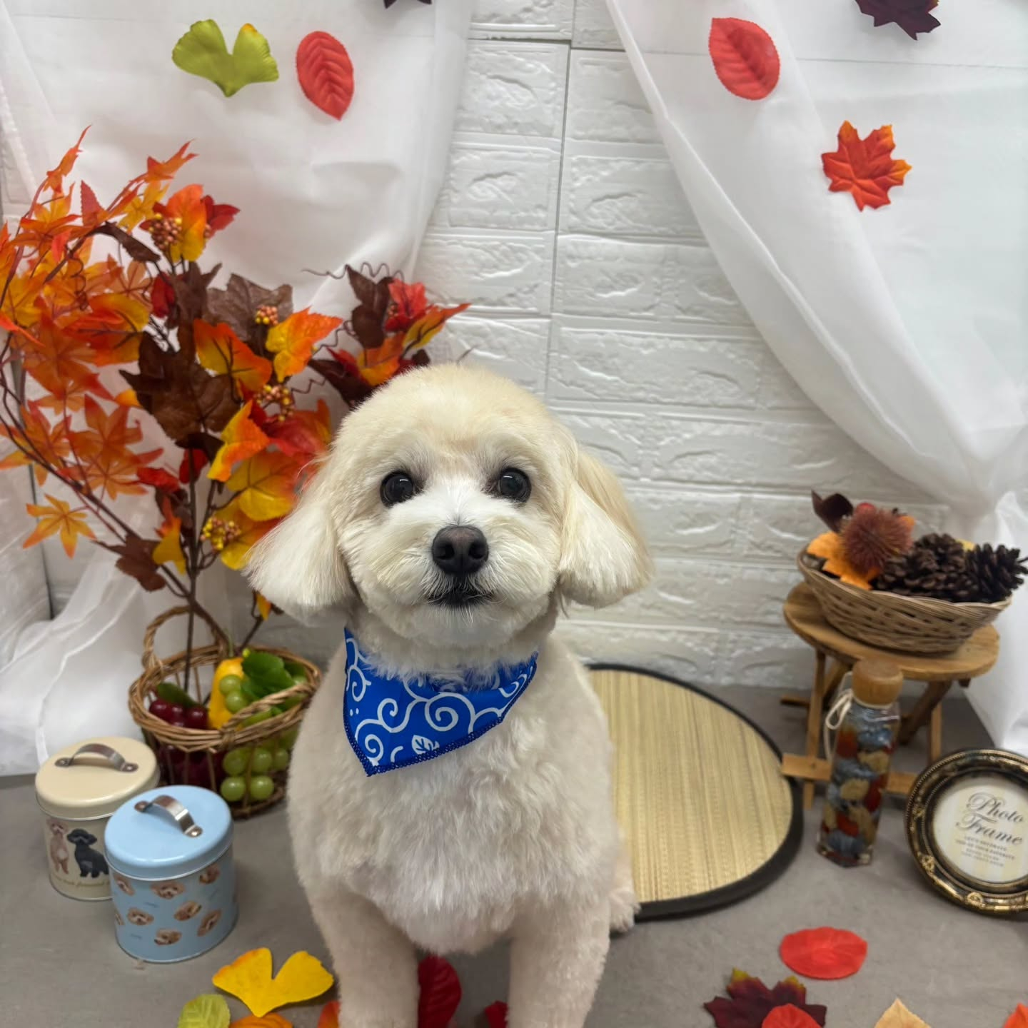 🍠🍠🍠🍠🍠🍠🍠🍠🍠🍠🍠🍠🍠