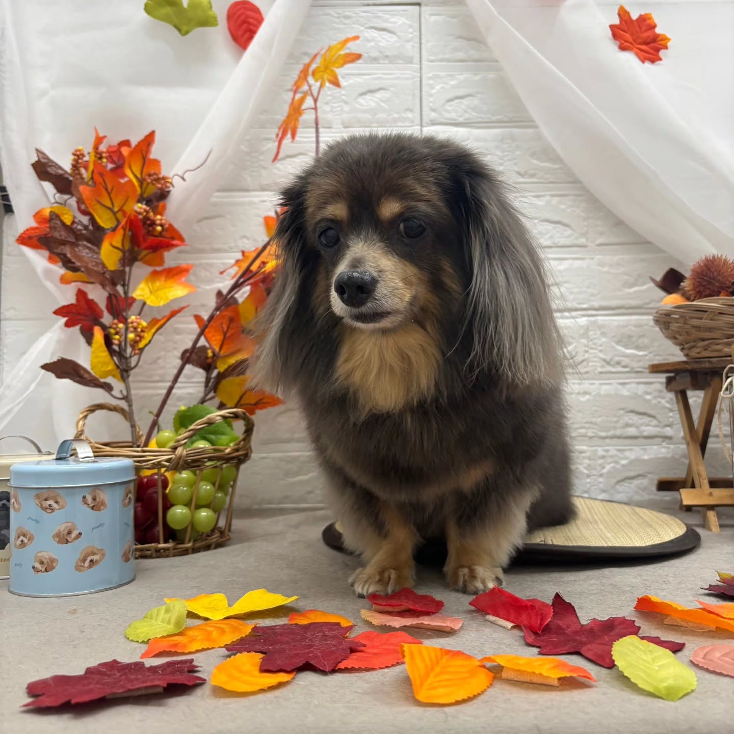 🍠🍠🍠🍠🍠🍠🍠🍠🍠🍠🍠🍠🍠