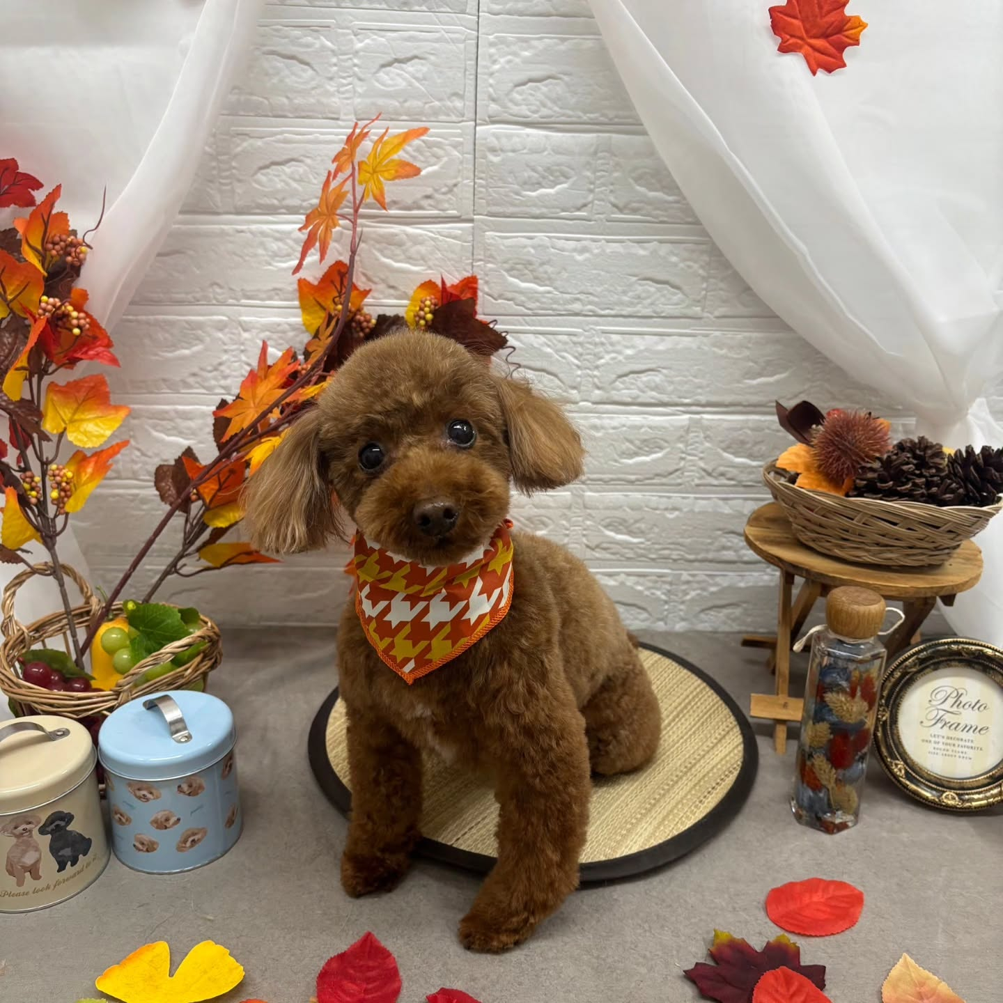 🍠🍠🍠🍠🍠🍠🍠🍠🍠🍠🍠🍠🍠