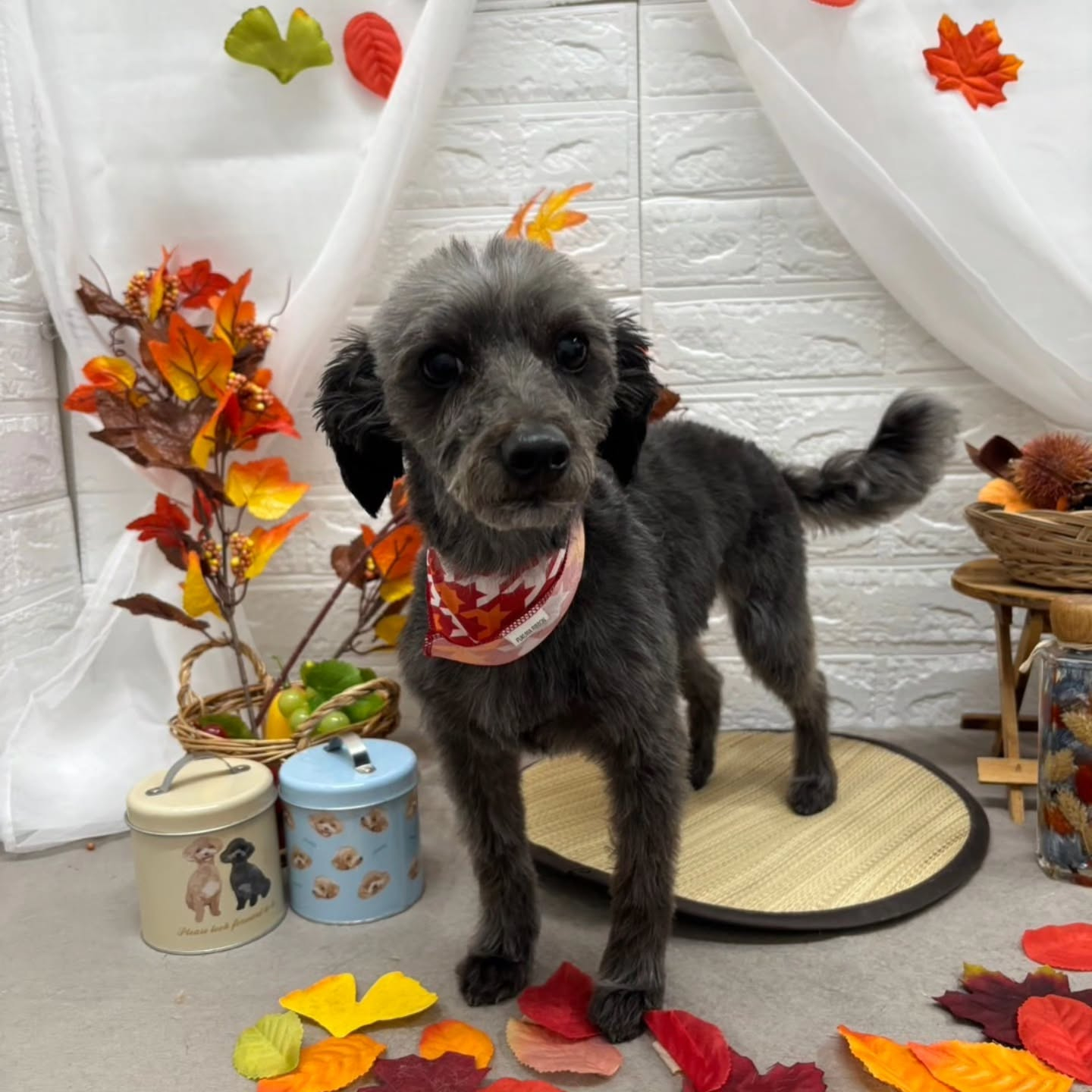 🍠🍠🍠🍠🍠🍠🍠🍠🍠🍠🍠🍠🍠