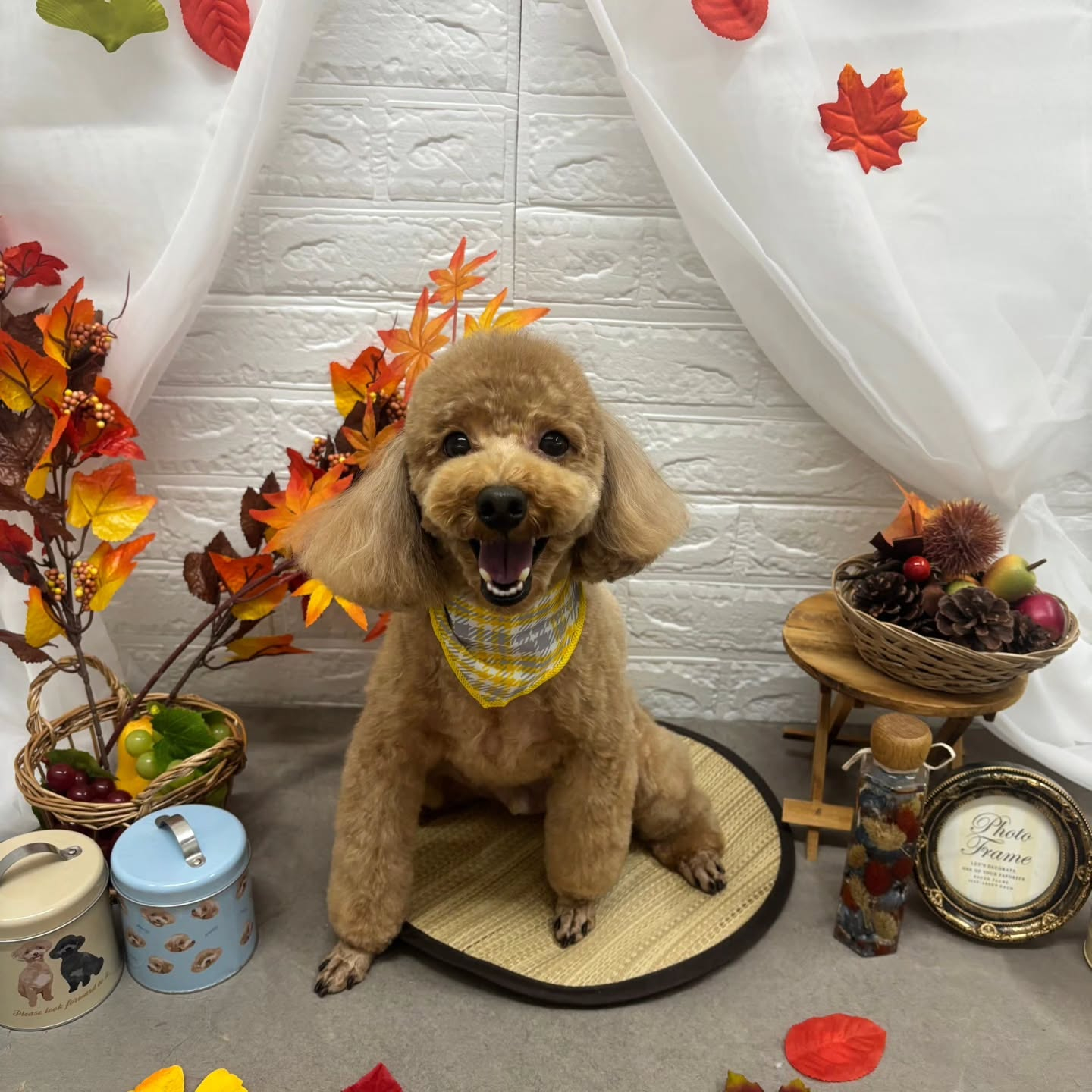 🍠🍠🍠🍠🍠🍠🍠🍠🍠🍠🍠🍠🍠