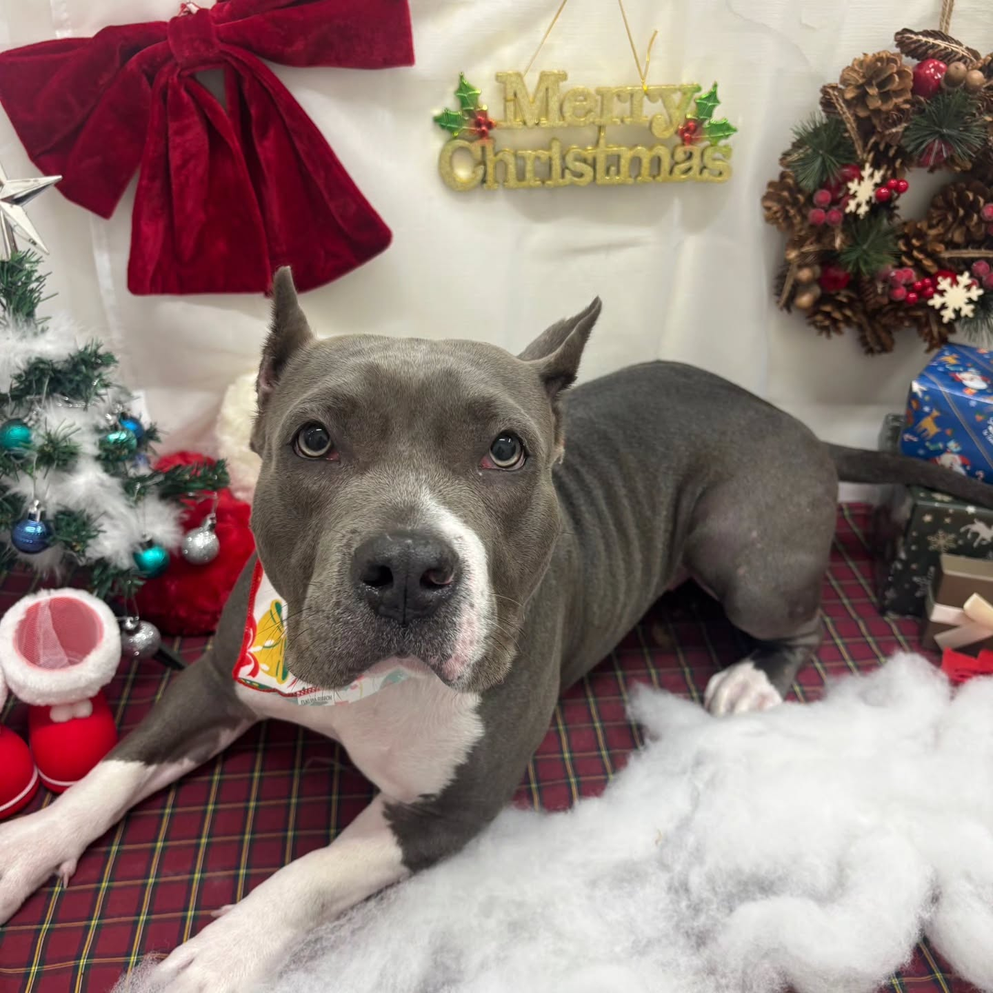 🎀🎀🎀🎀🎀🎀🎀🎀