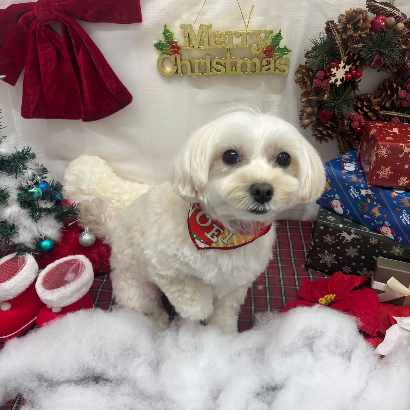 ๐๐๐๐๐๐๐๐