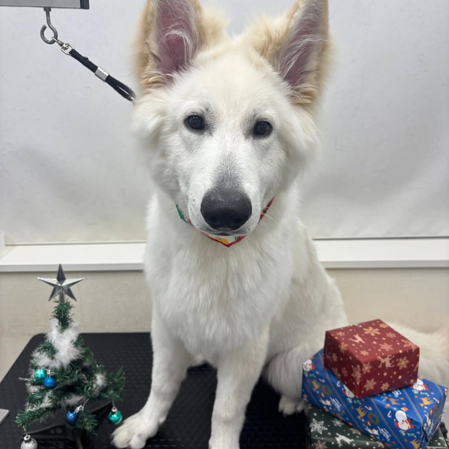 ๐๐๐๐๐๐๐๐