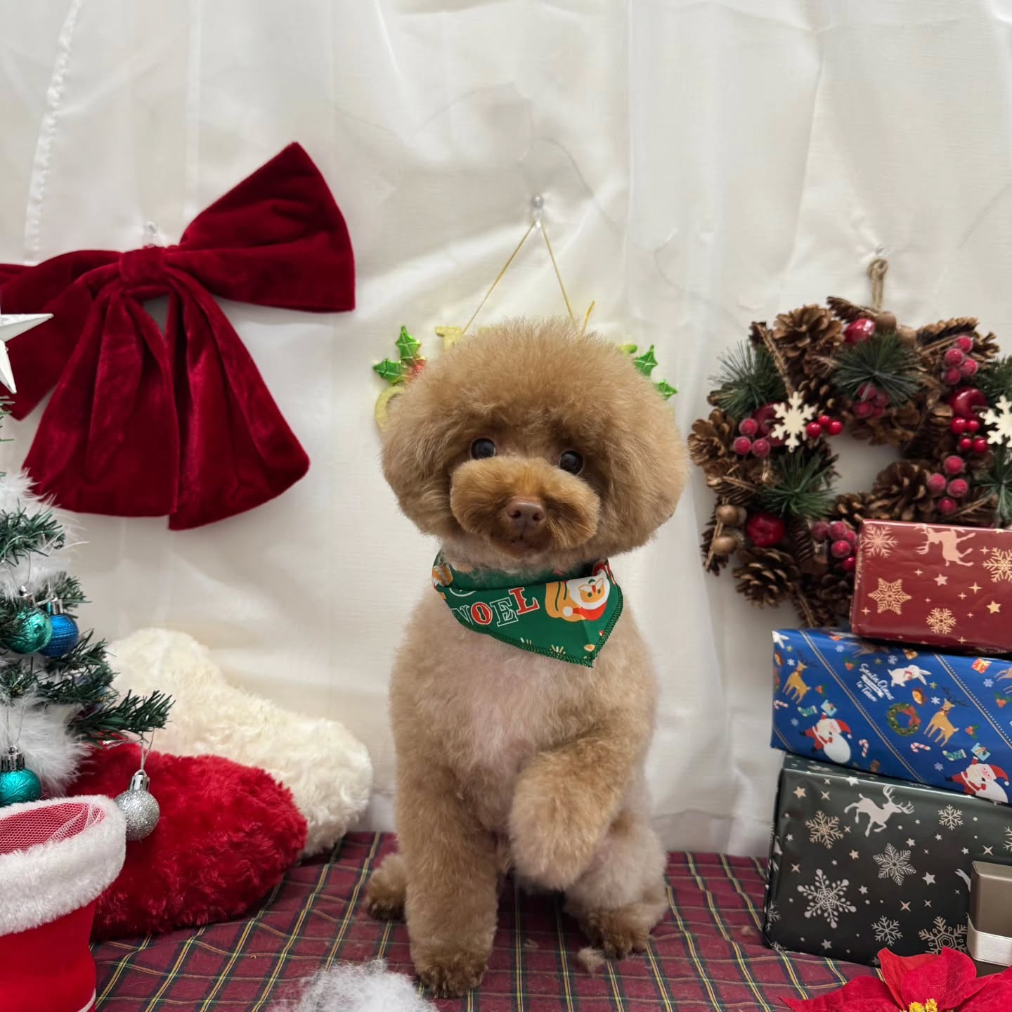 ๐๐๐๐๐๐๐๐