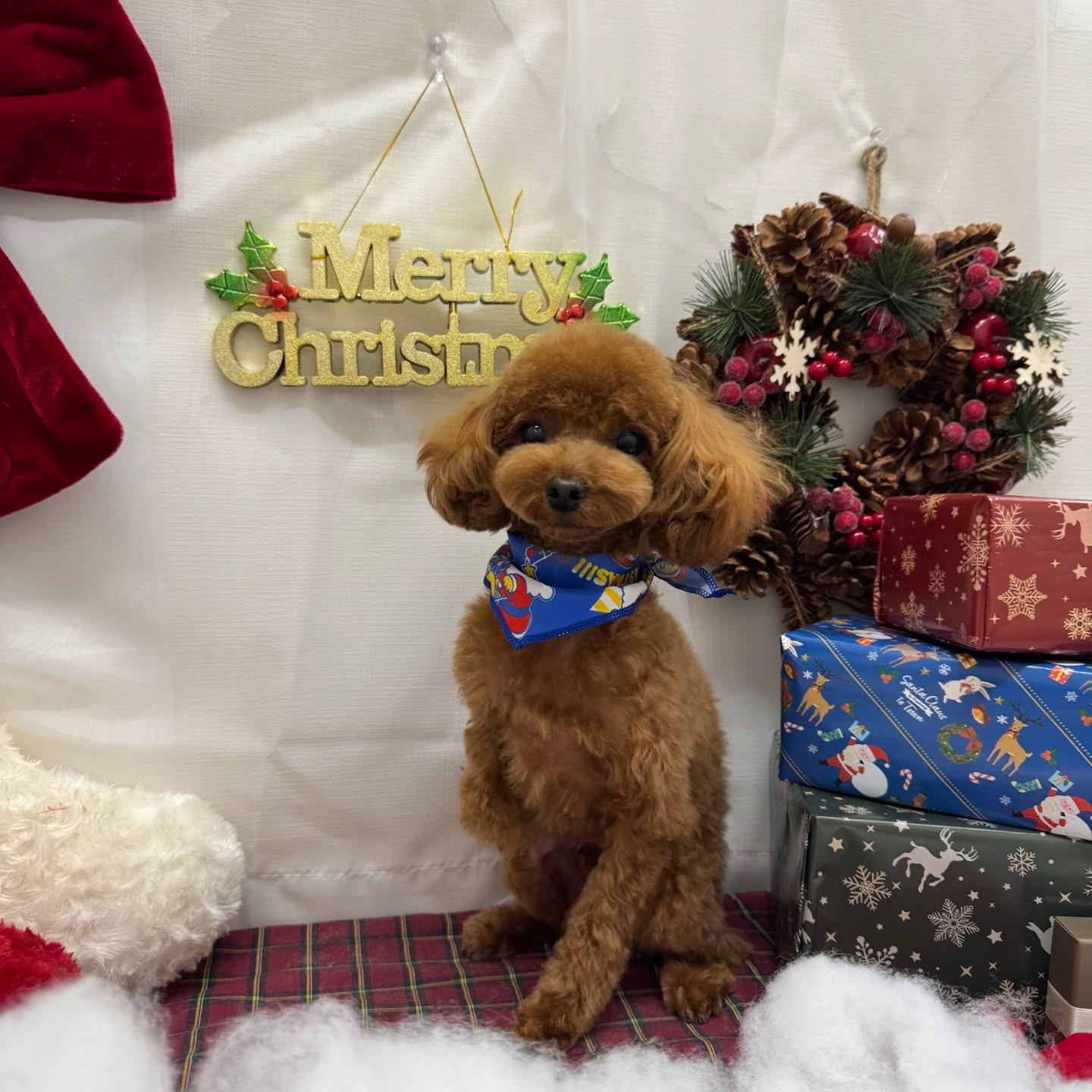 ๐๐๐๐๐๐๐๐