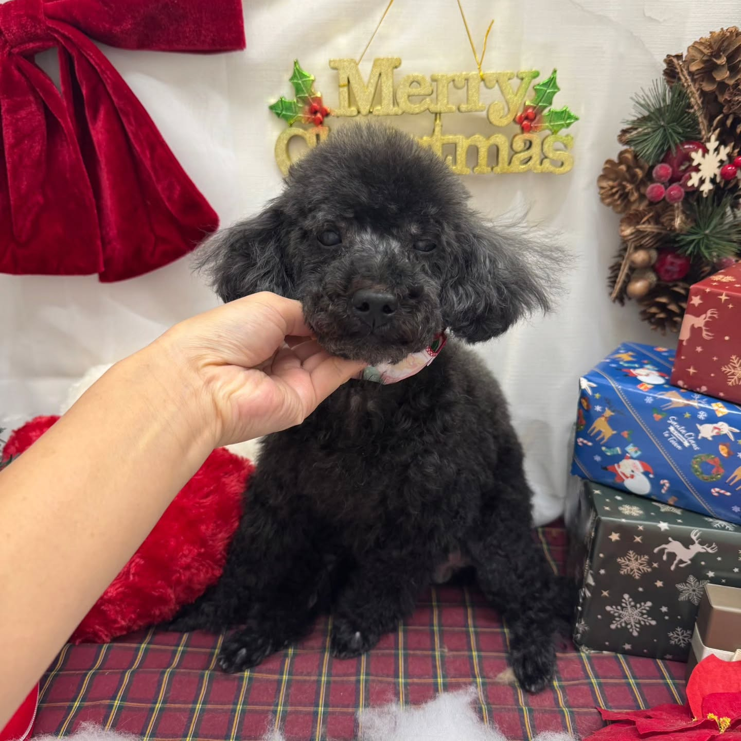 ๐๐๐๐๐๐๐๐