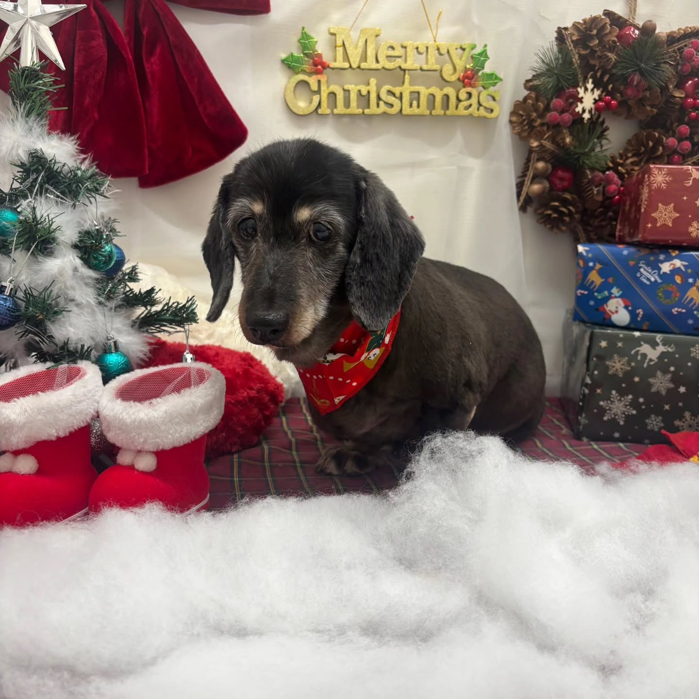 ๐๐๐๐๐๐๐๐