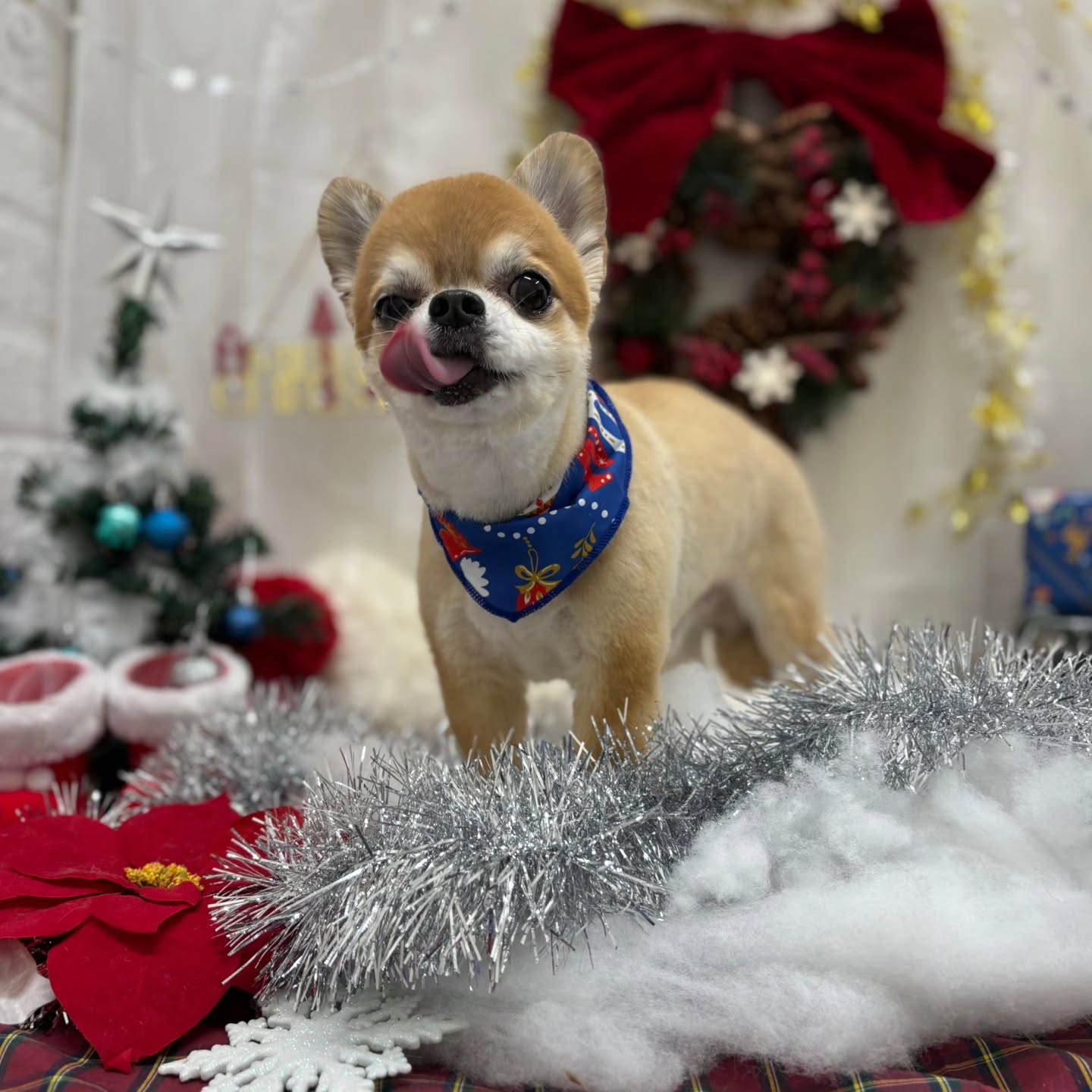 ⁡🎀🎀🎀🎀🎀🎀🎀🎀