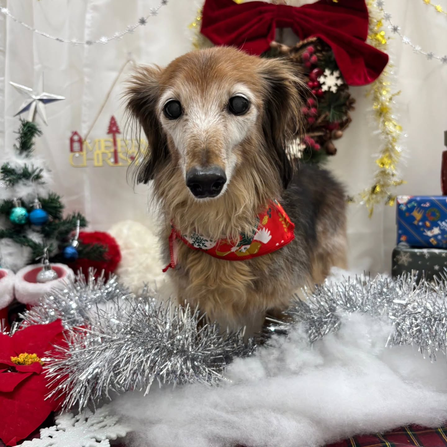 ⁡🎀🎀🎀🎀🎀🎀🎀🎀