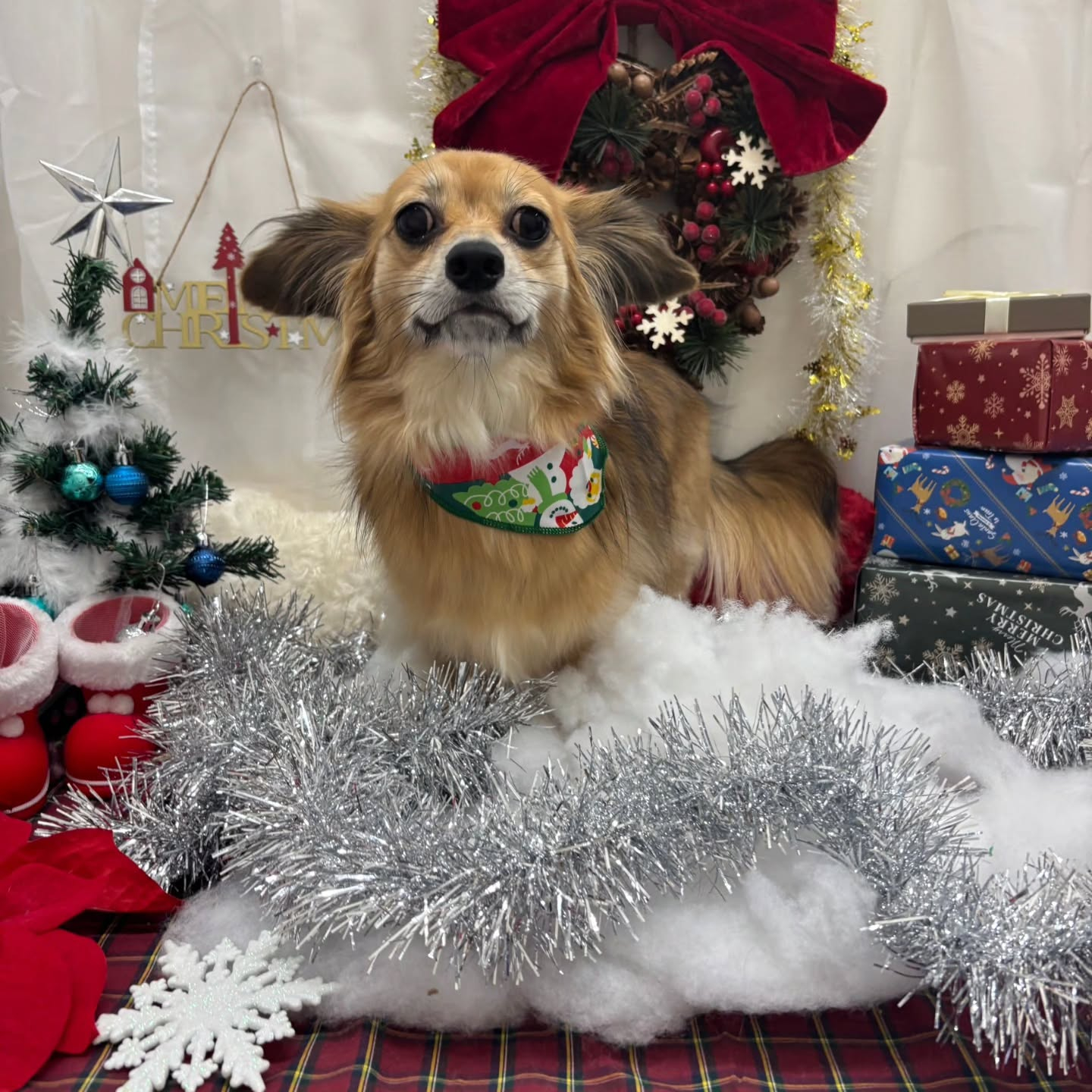 ⁡🎀🎀🎀🎀🎀🎀🎀🎀