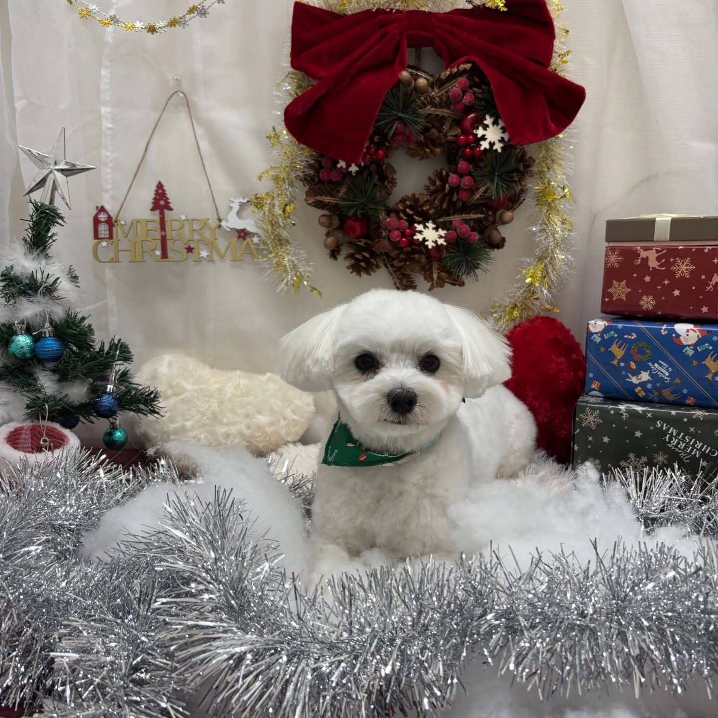 ⁡🎀🎀🎀🎀🎀🎀🎀🎀