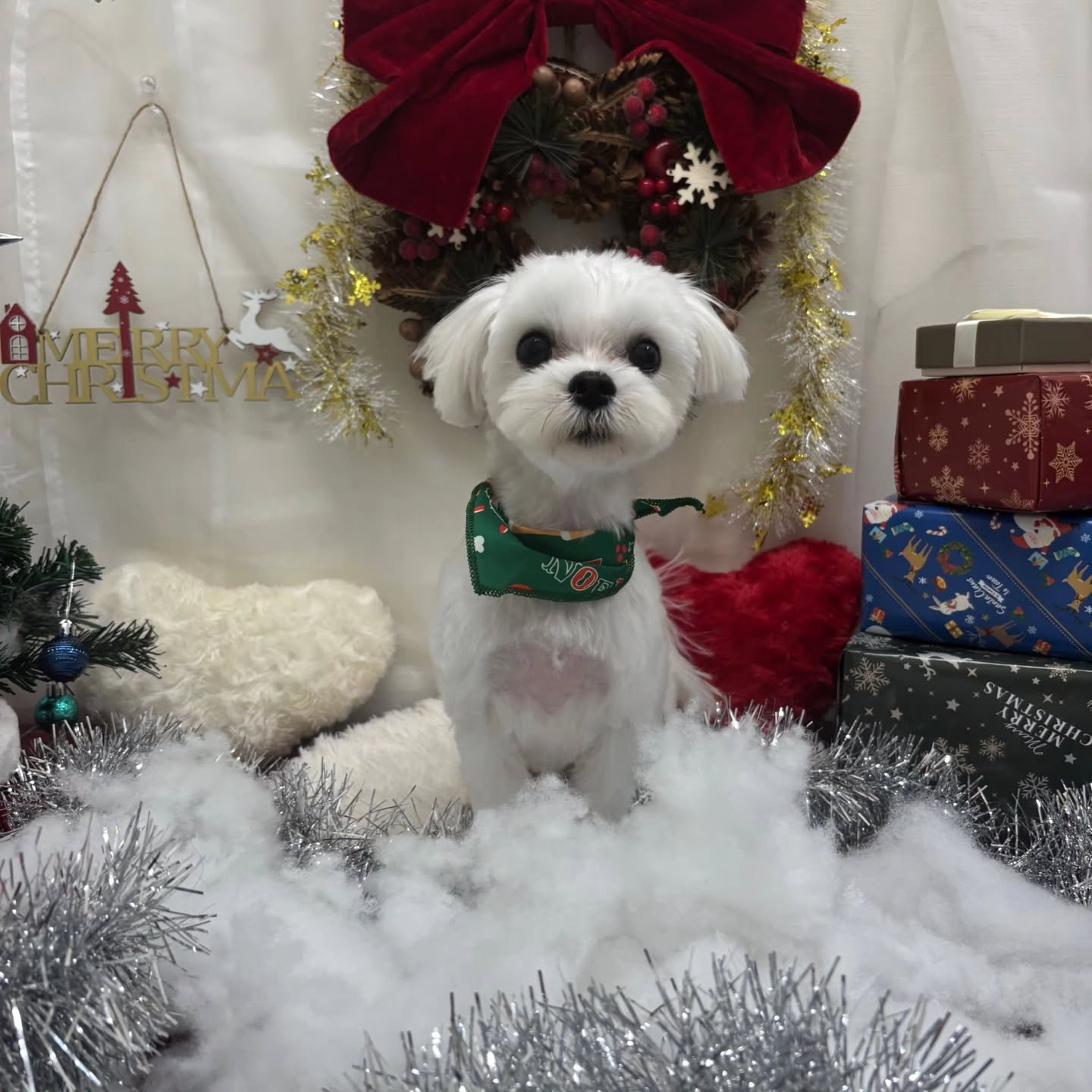 ⁡🎀🎀🎀🎀🎀🎀🎀🎀