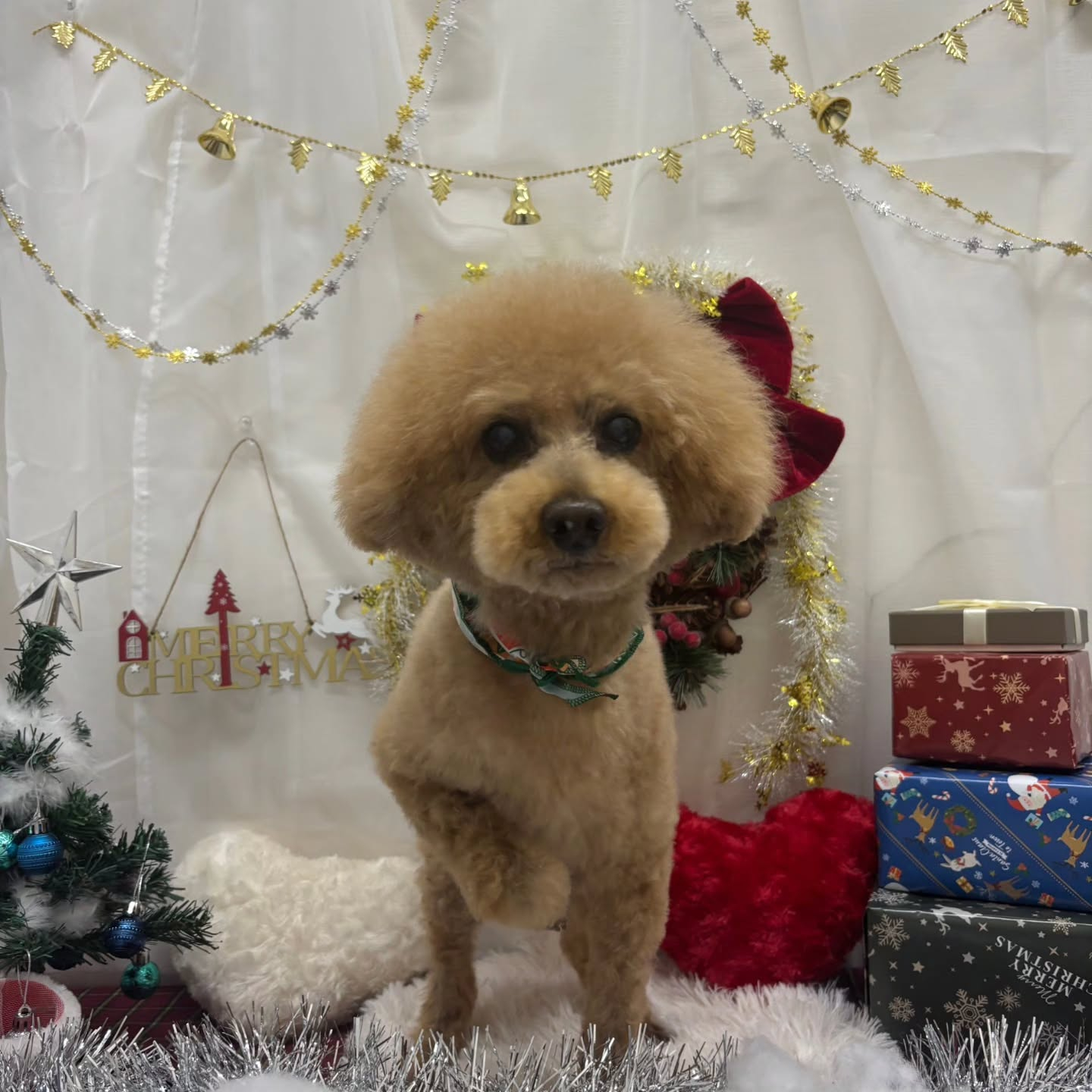 ⁡🎀🎀🎀🎀🎀🎀🎀🎀