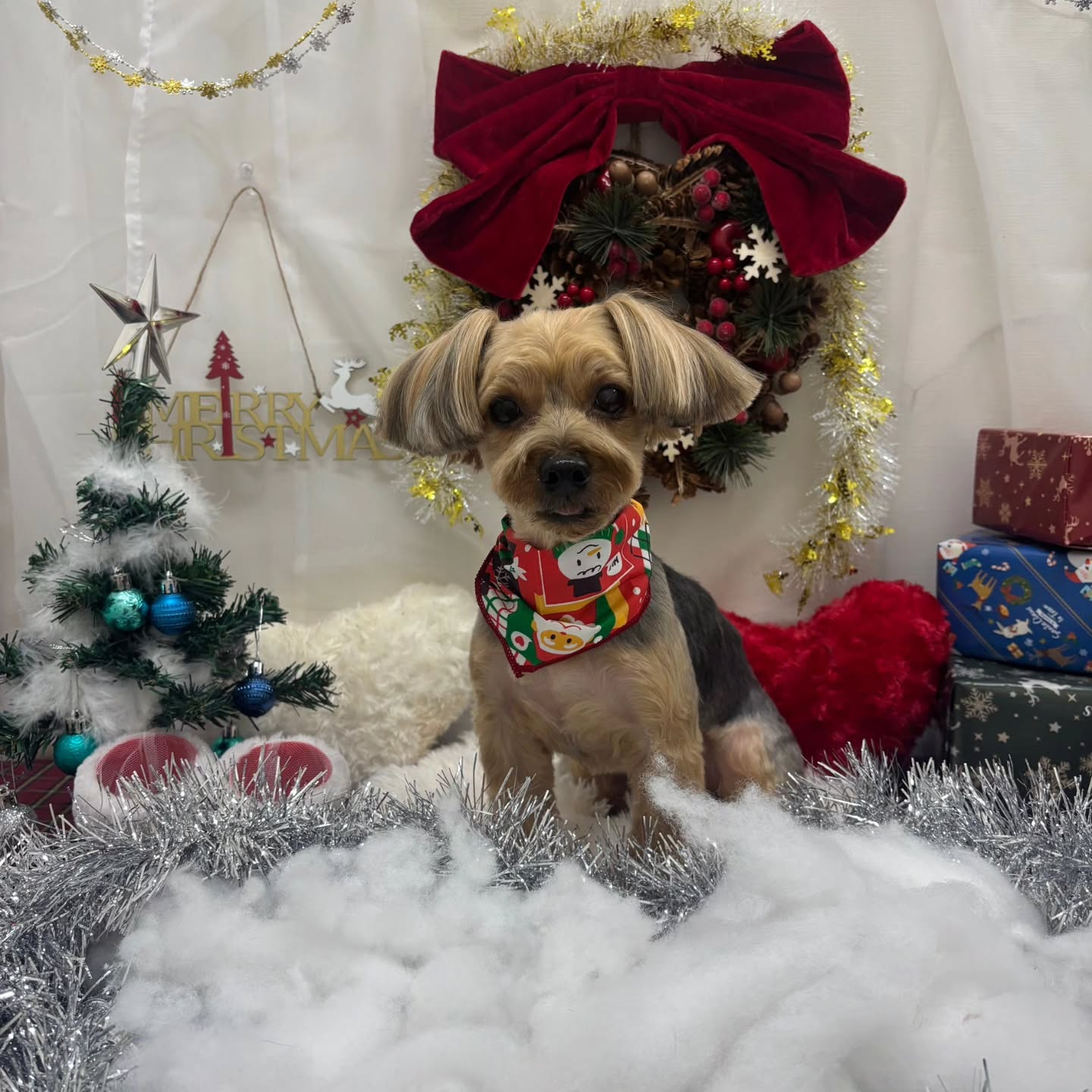 ๐๐๐๐๐๐๐๐