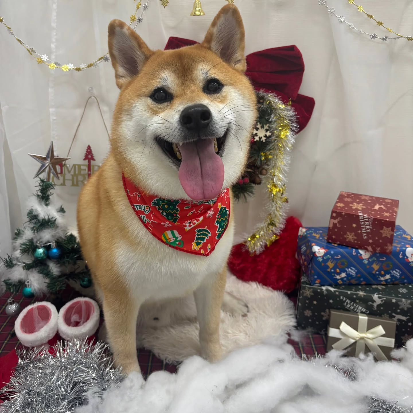 ๐๐๐๐๐๐๐๐