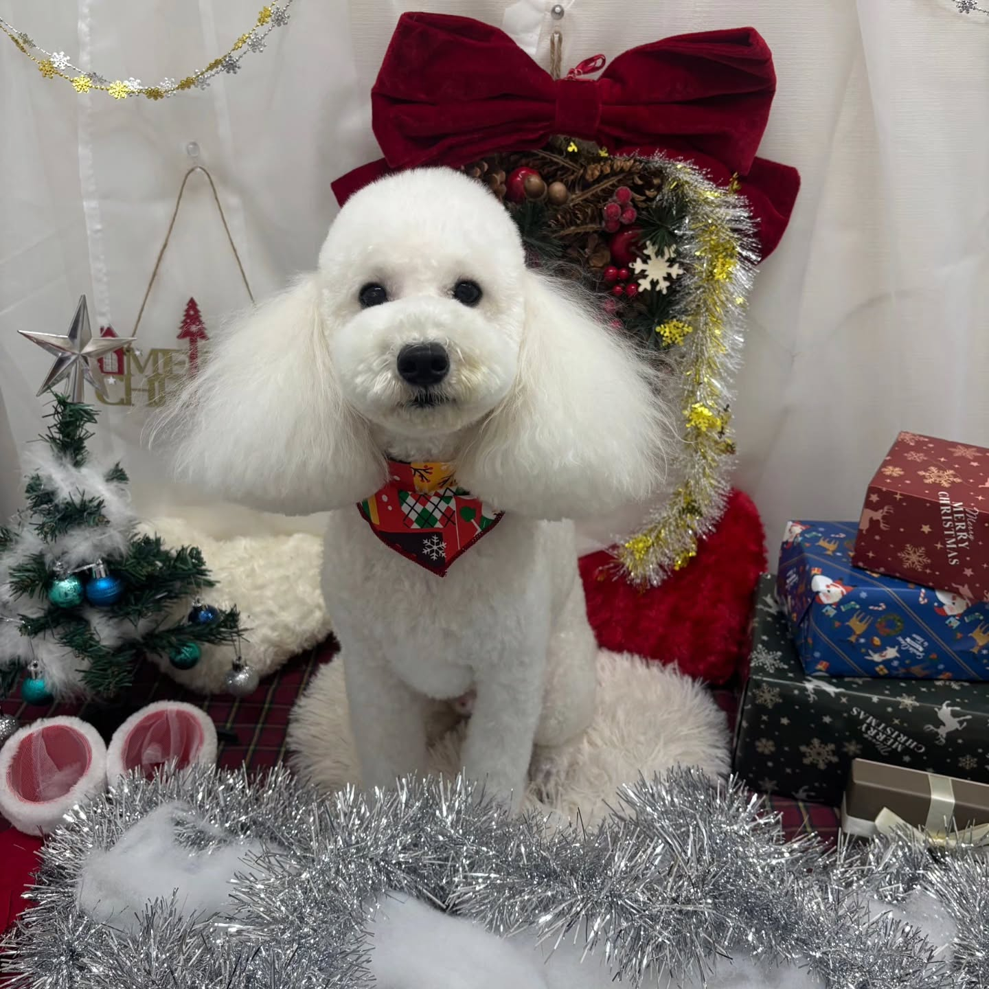 ๐๐๐๐๐๐๐๐