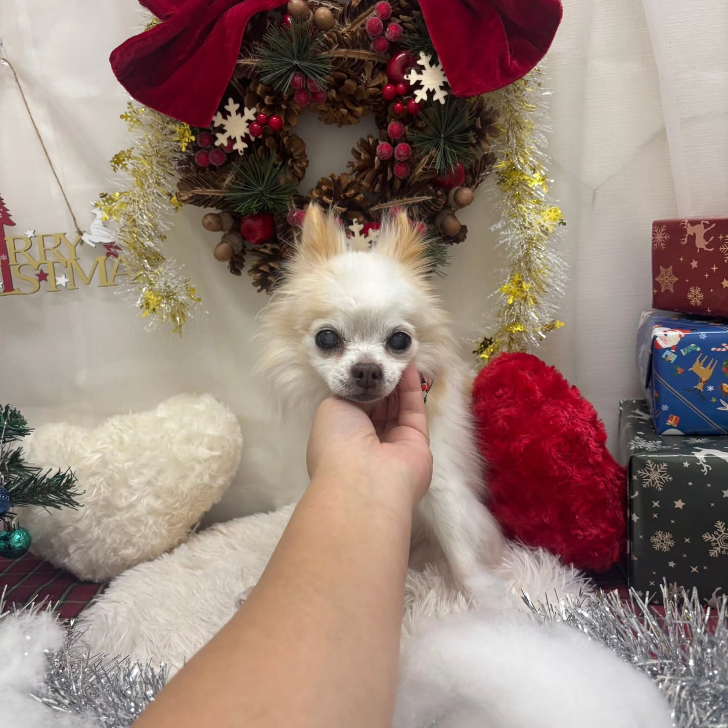 ๐๐๐๐๐๐๐๐