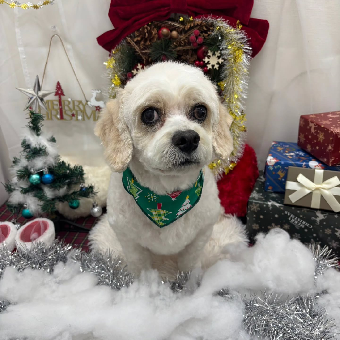 ๐๐๐๐๐๐๐๐