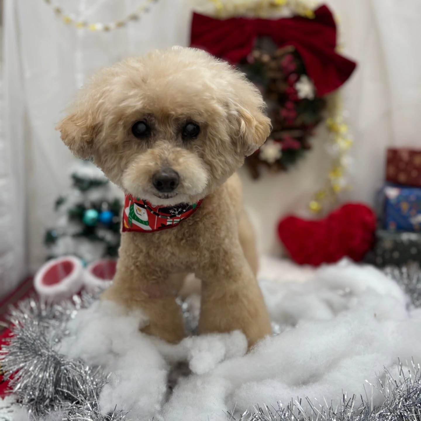 ๐๐๐๐๐๐๐๐