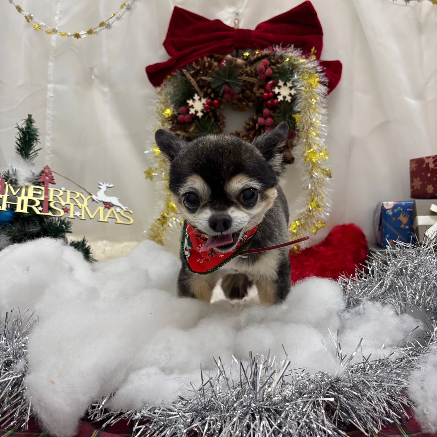 ๐๐๐๐๐๐๐๐