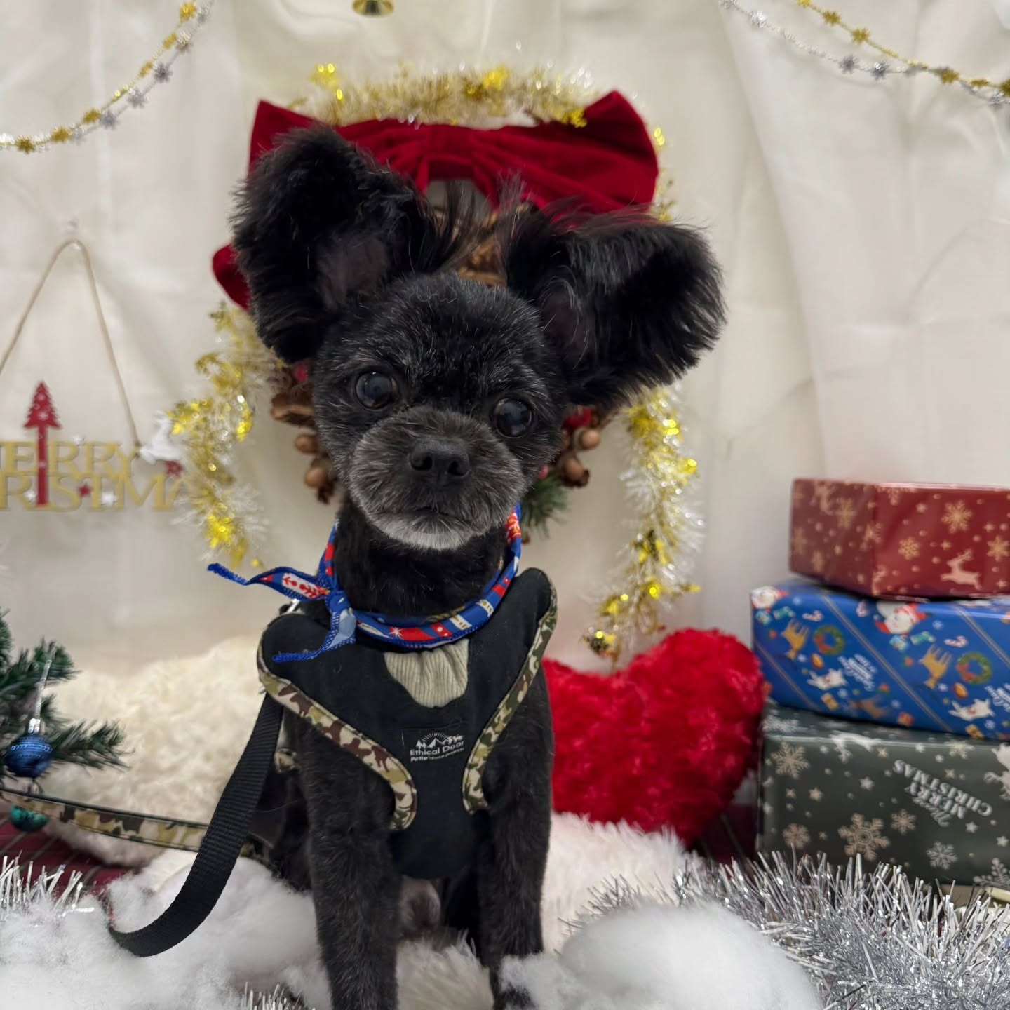 ๐๐๐๐๐๐๐๐