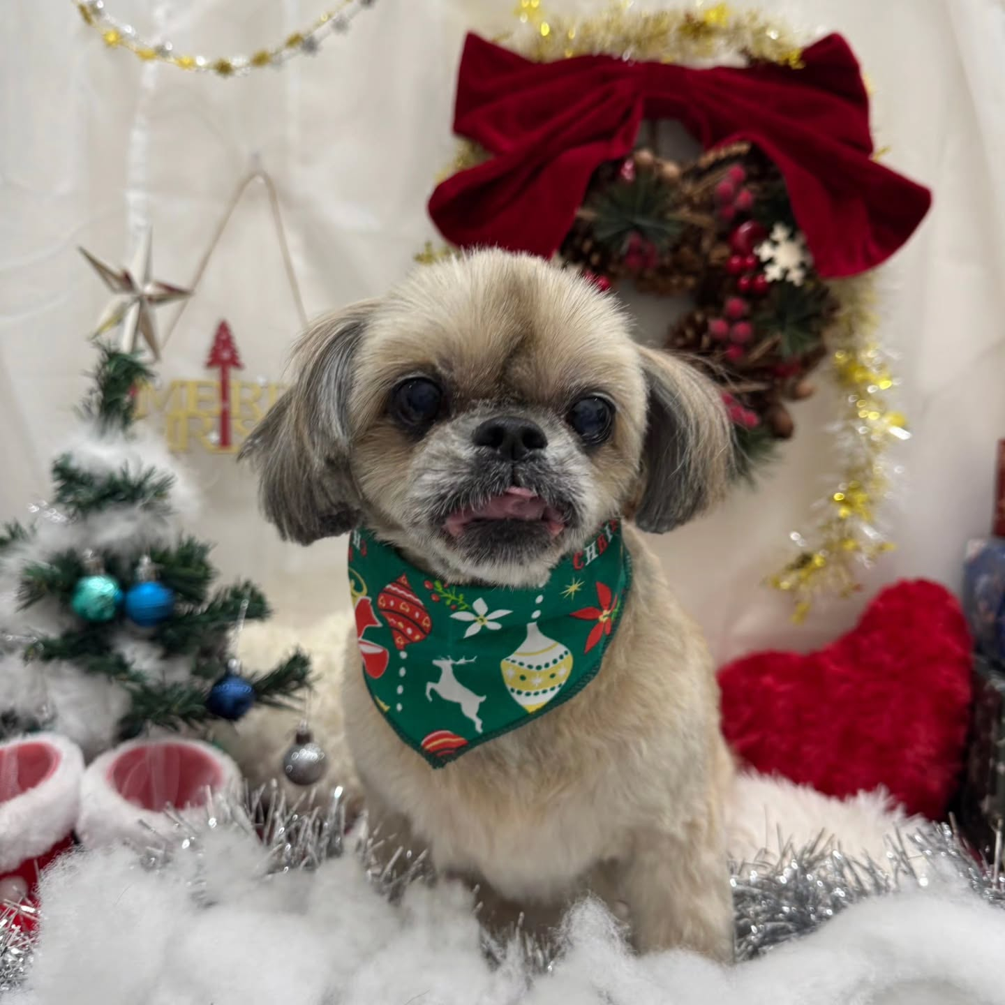 ๐๐๐๐๐๐๐๐