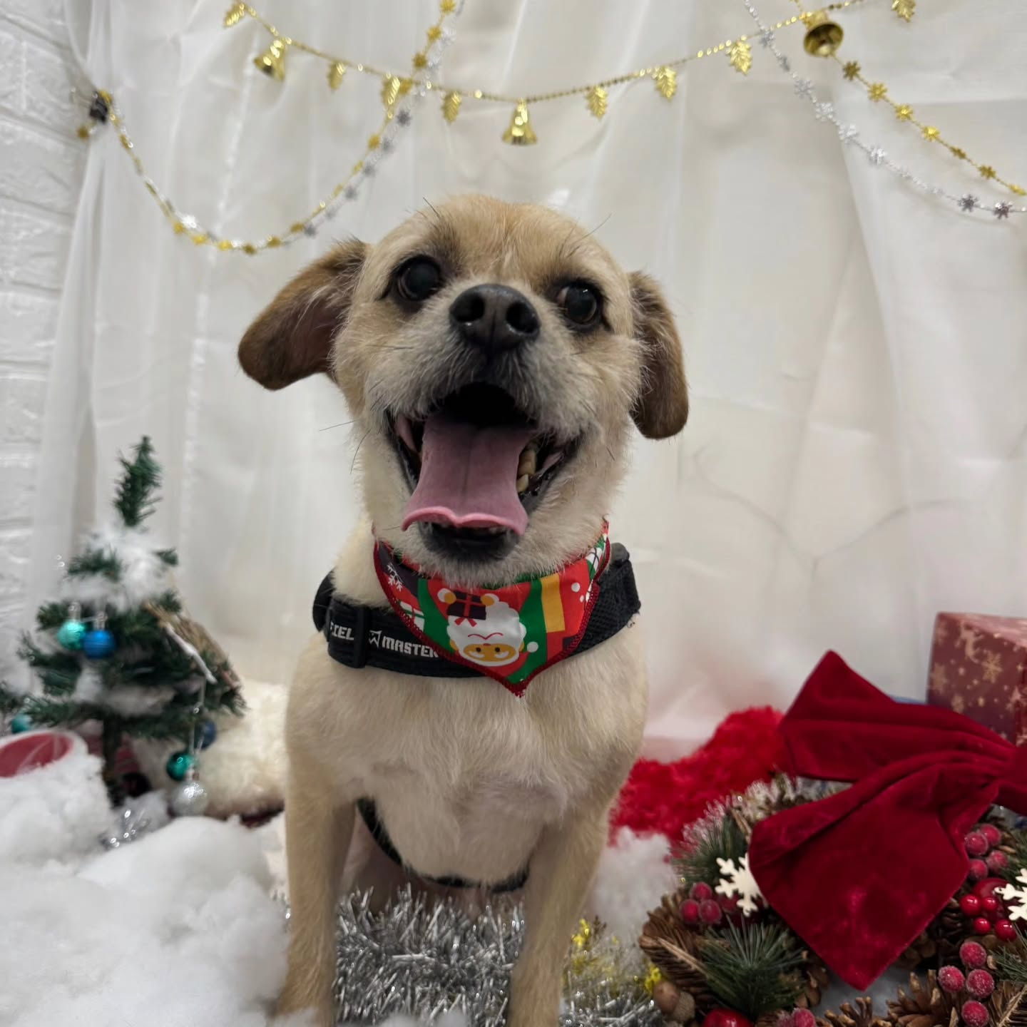 ๐๐๐๐๐๐๐๐