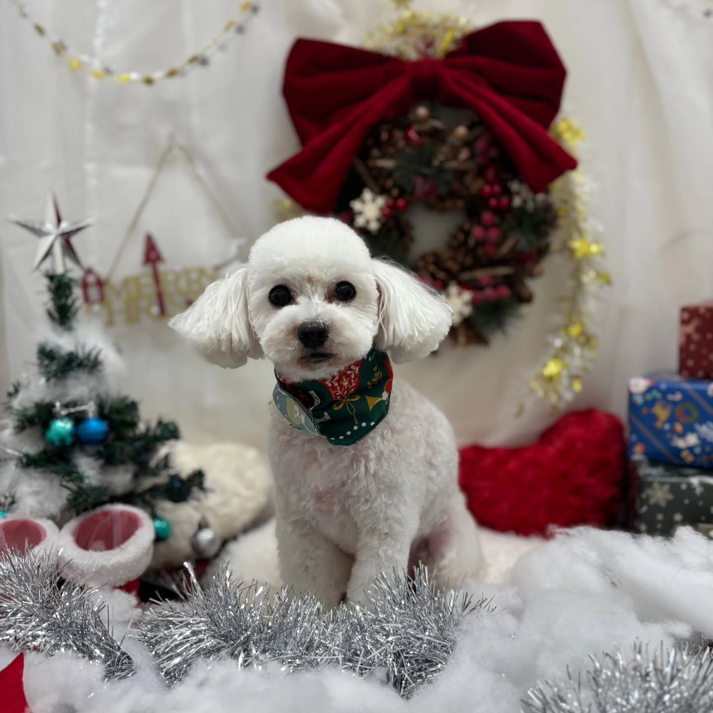 🎀🎀🎀🎀🎀🎀🎀🎀