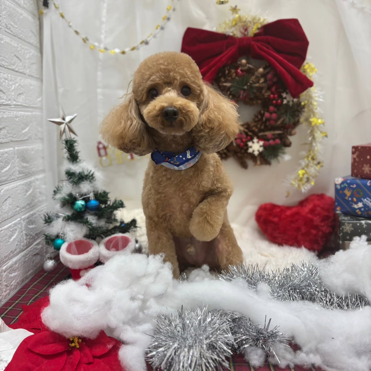 🎀🎀🎀🎀🎀🎀🎀🎀