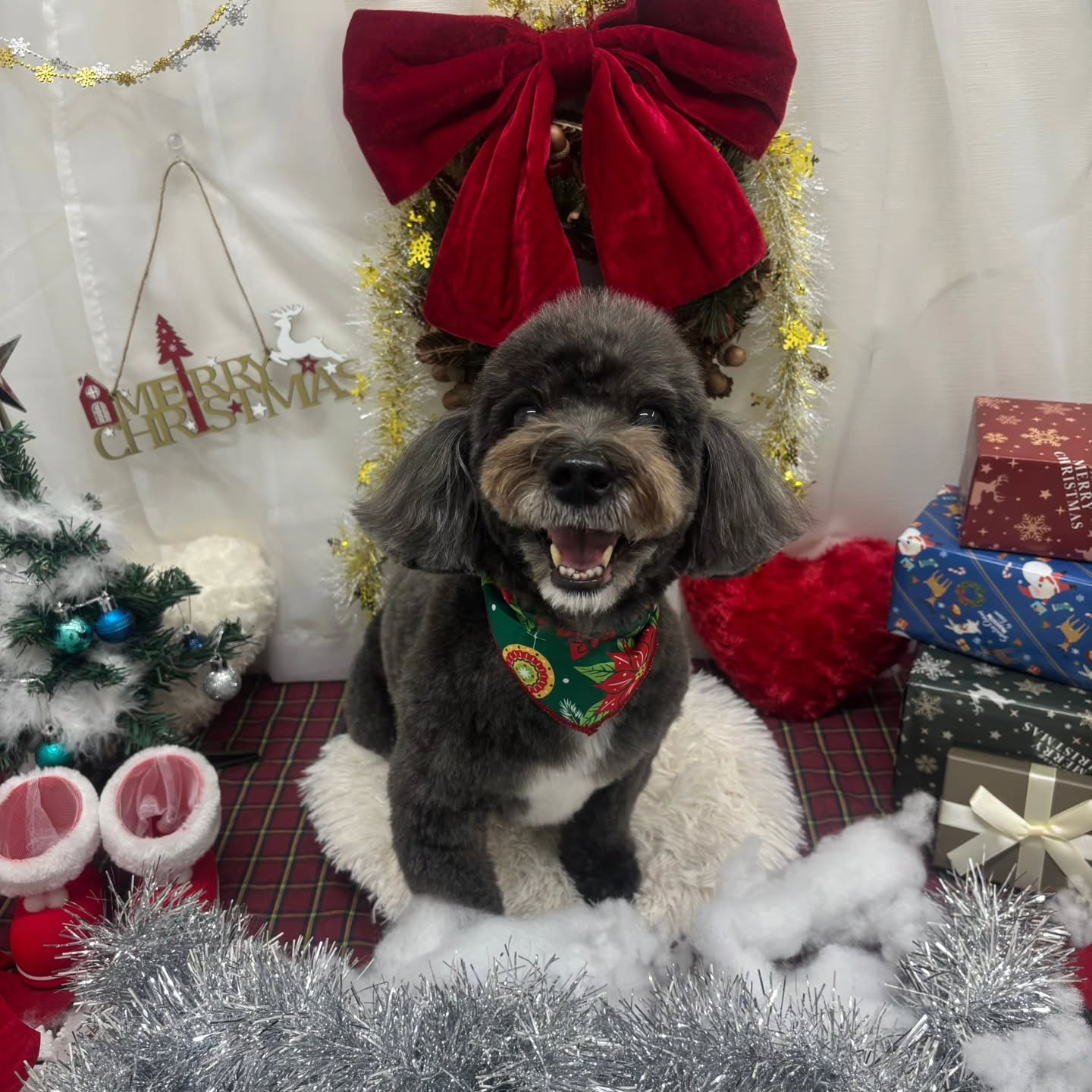 🎀🎀🎀🎀🎀🎀🎀🎀