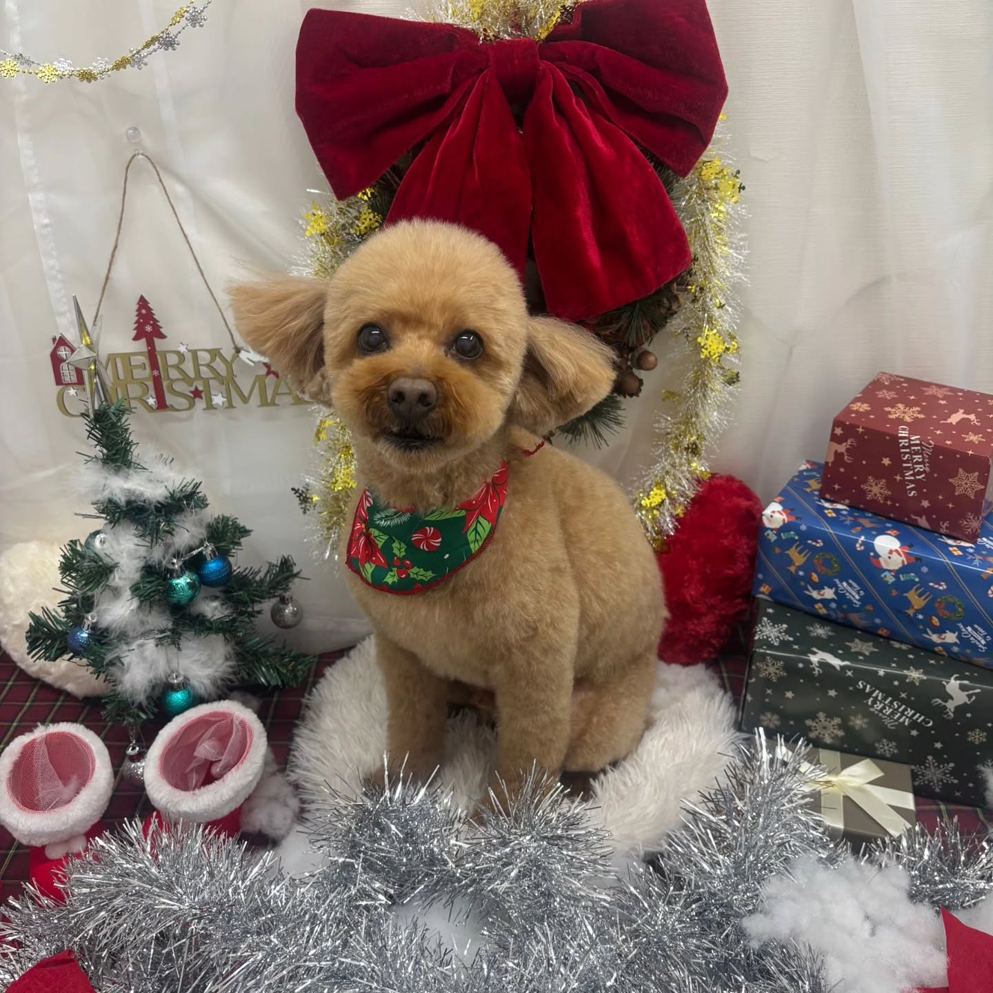 ๐๐๐๐๐๐๐๐