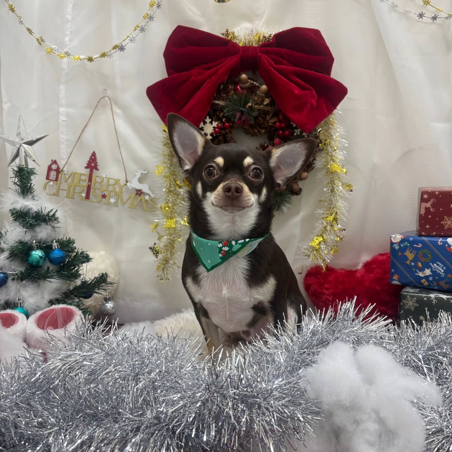 ๐๐๐๐๐๐๐๐