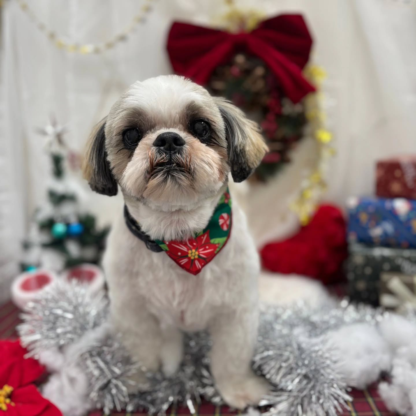 ๐๐๐๐๐๐๐๐