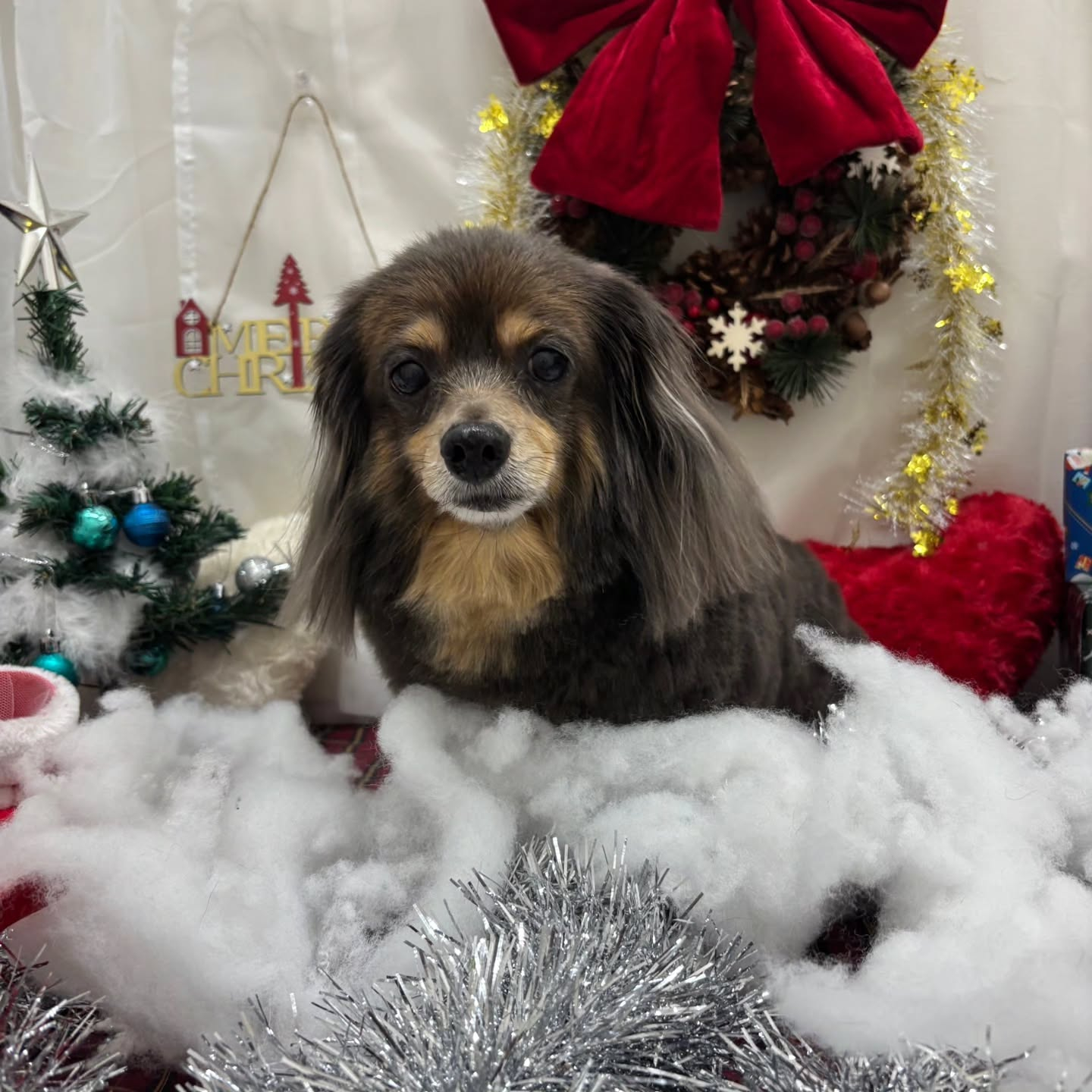 ๐๐๐๐๐๐๐๐