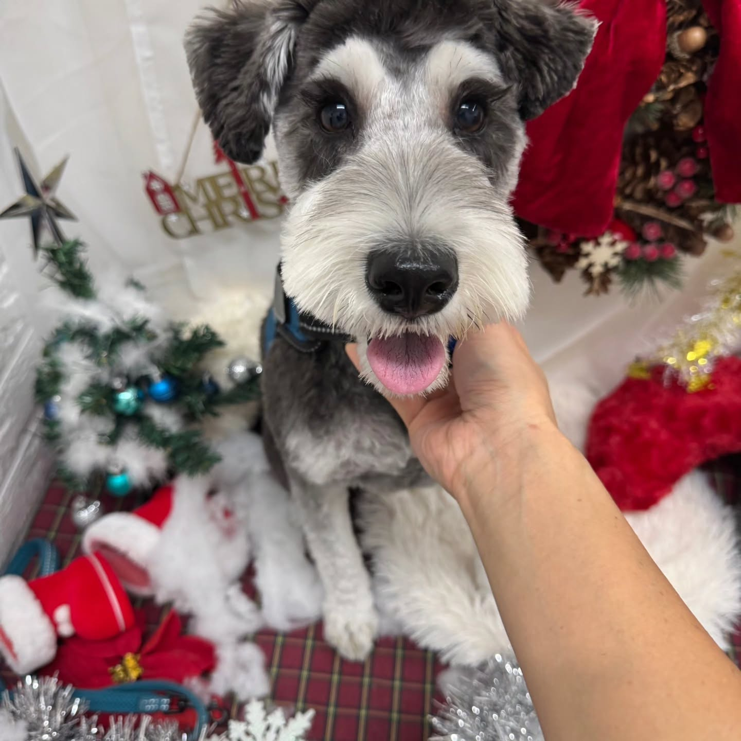 ๐๐๐๐๐๐๐๐