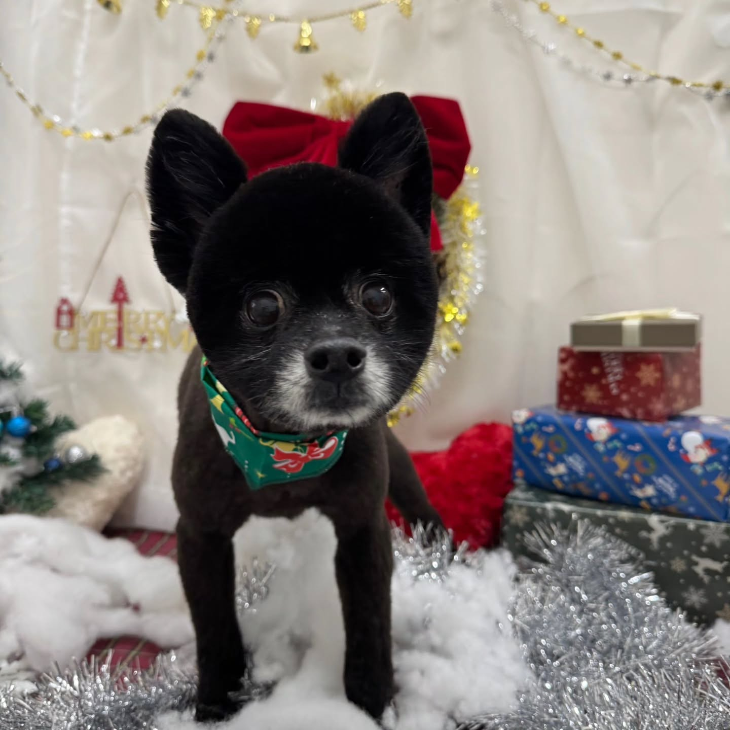 ๐๐๐๐๐๐๐๐