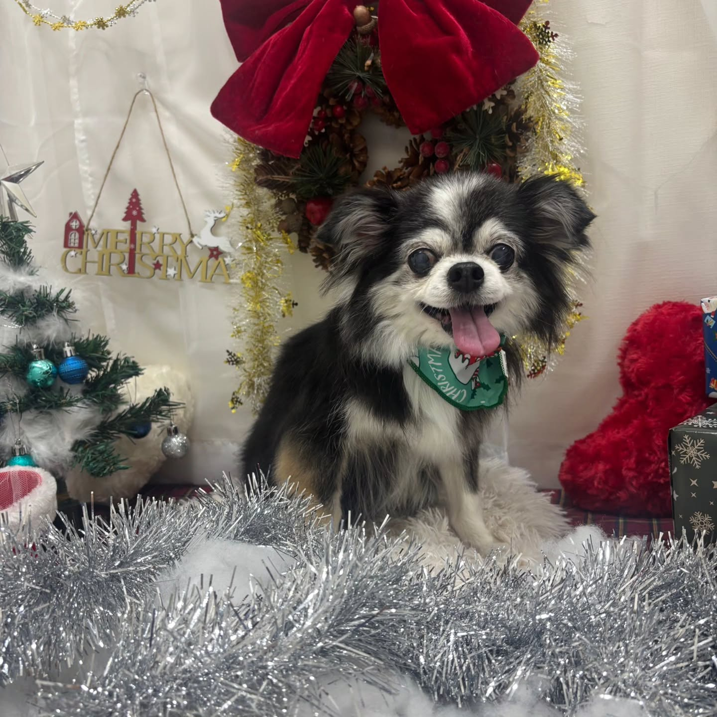 🎀🎀🎀🎀🎀🎀🎀🎀