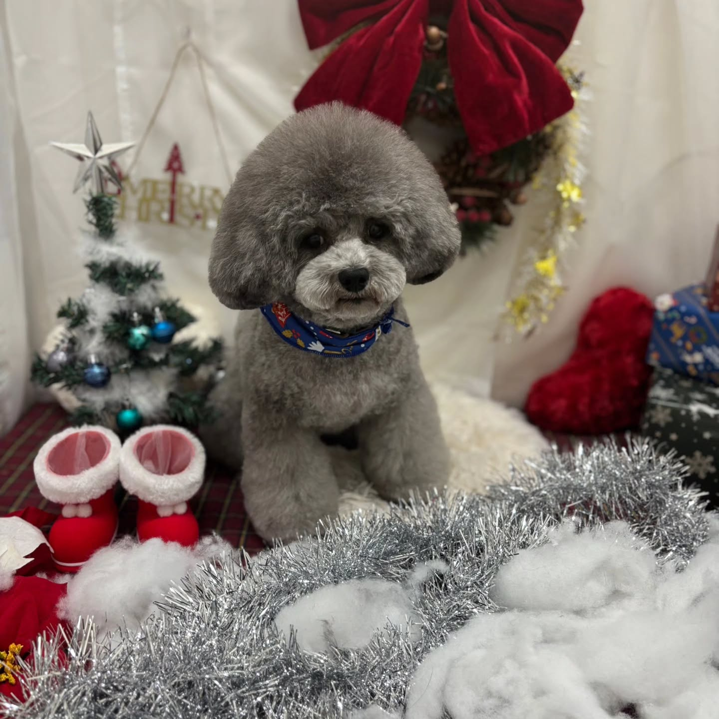 🎀🎀🎀🎀🎀🎀🎀🎀